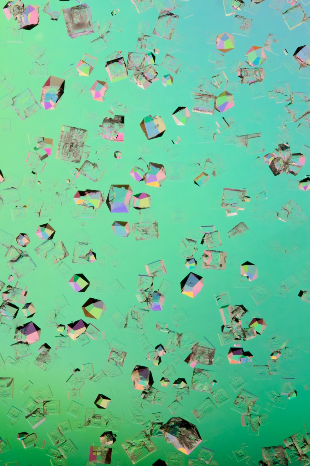 July 2022: Christine Lorenz