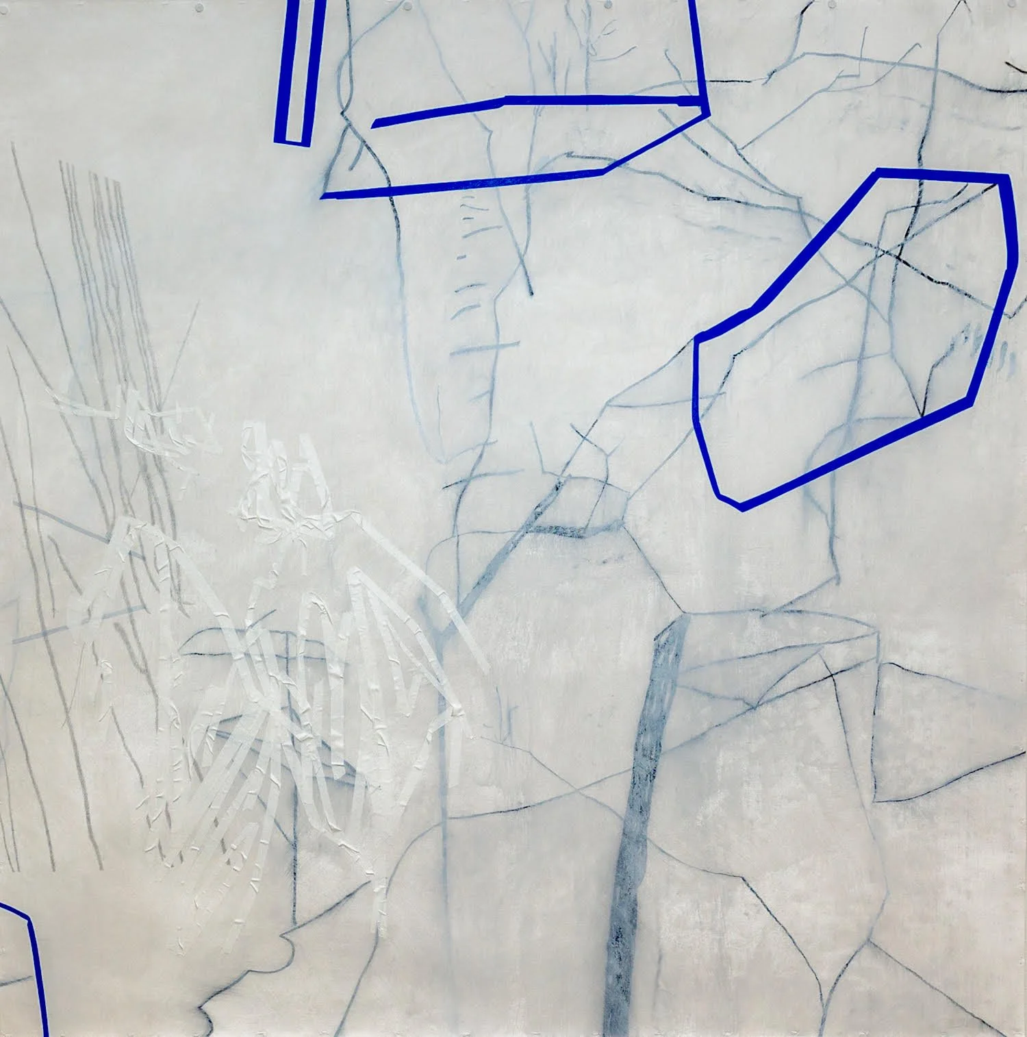 Lisa Bergant Koi: November 2023