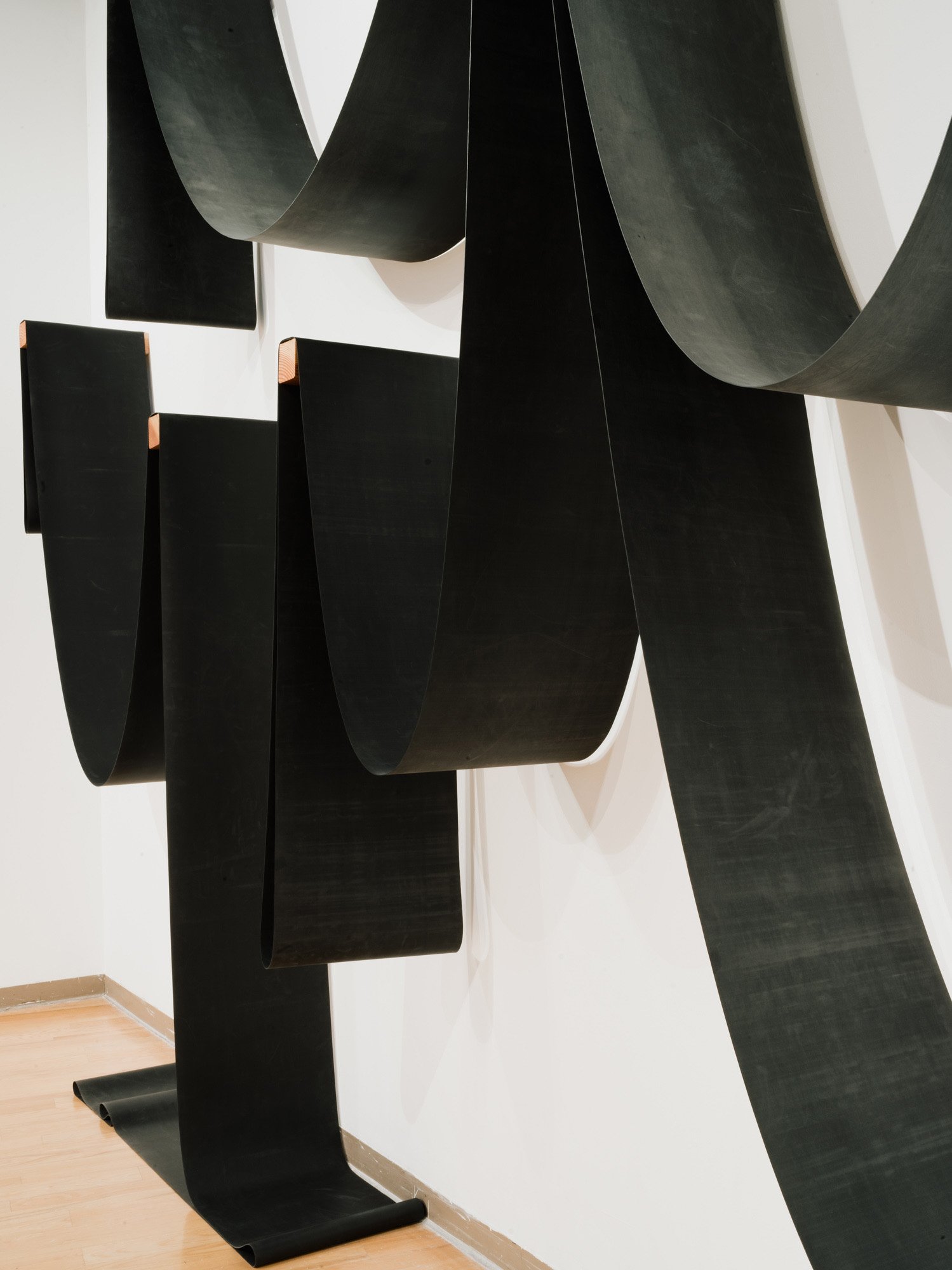 Molly Davis: January 2024