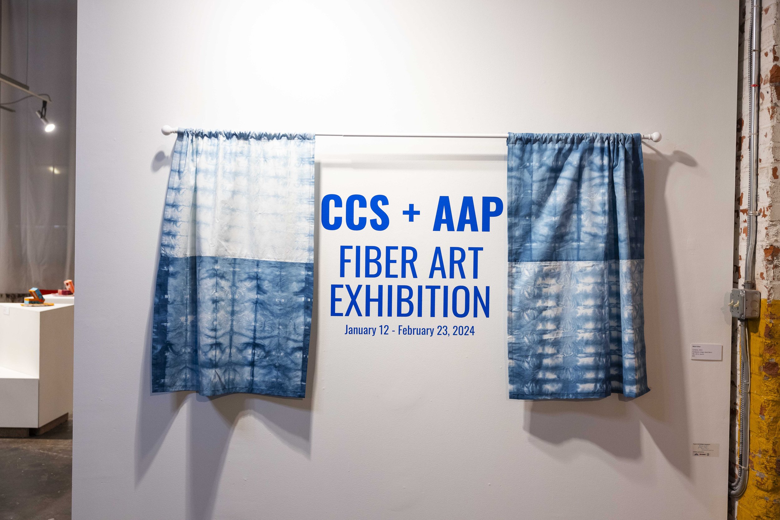 AAPxCCS-FiberArtExhibition-OpeningReception-1.12.248.jpg