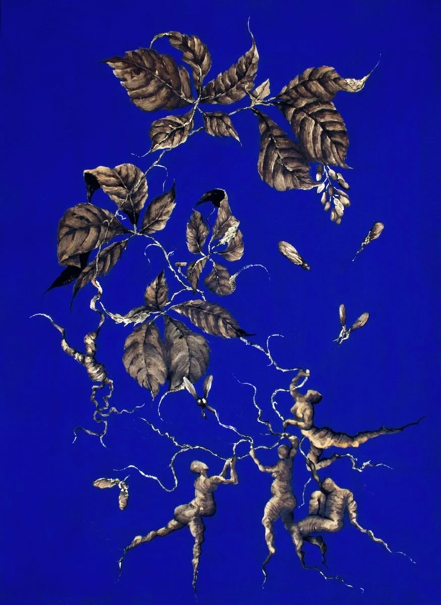 Peggi Habets: February 2026