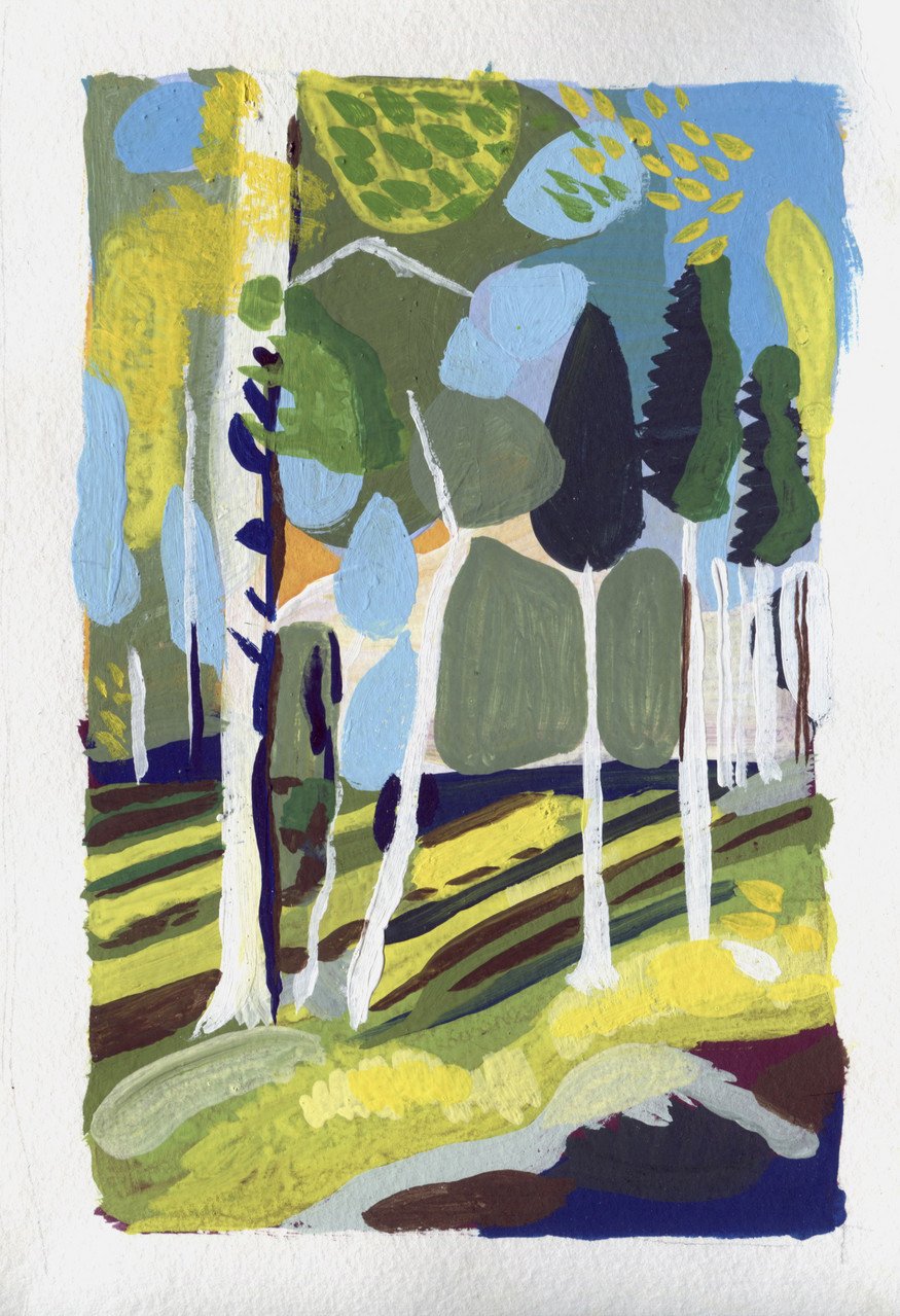 braun auteumn trees.jpg