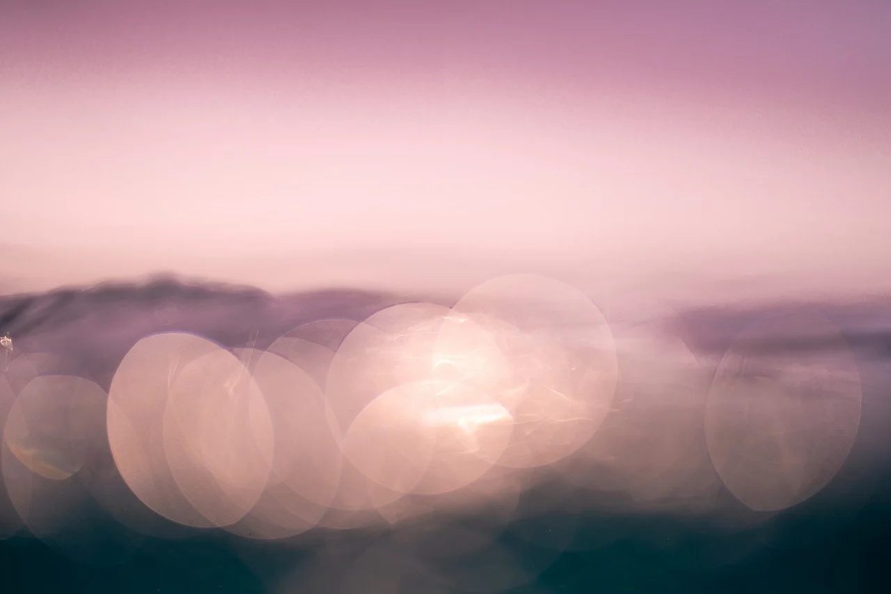 la vacca (6) by John Tronsor