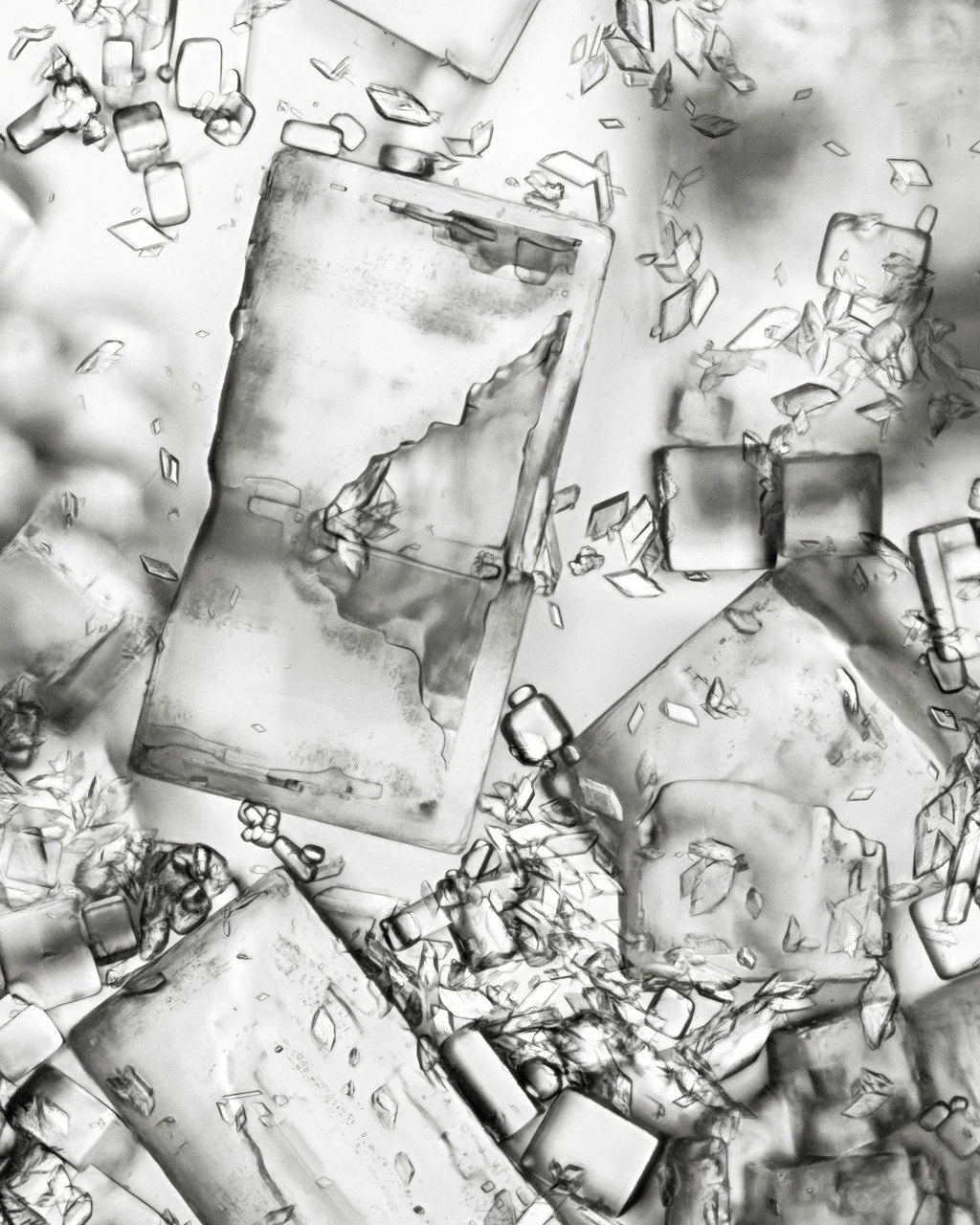 CSHL-06a by Christine Lorenz