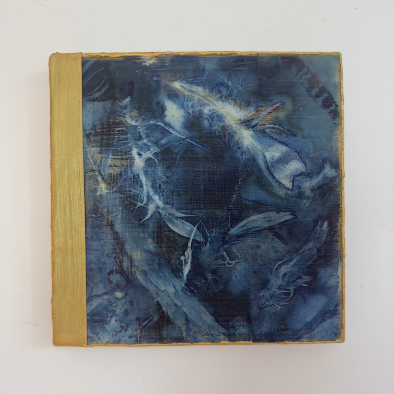 randall grown and flown.jpg