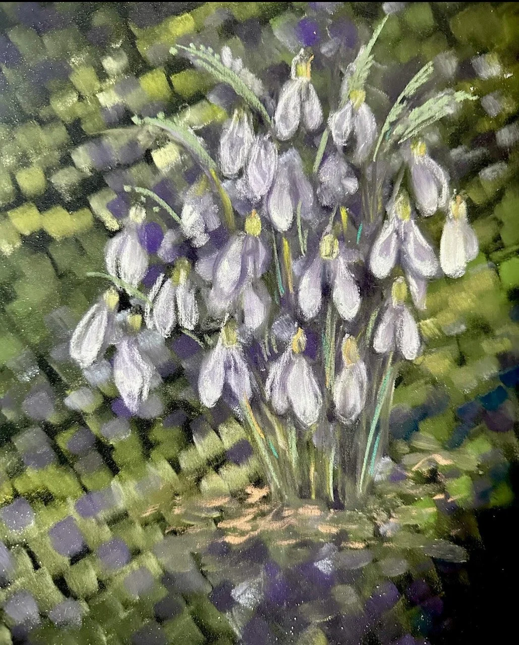 tobin snow drops.jpg