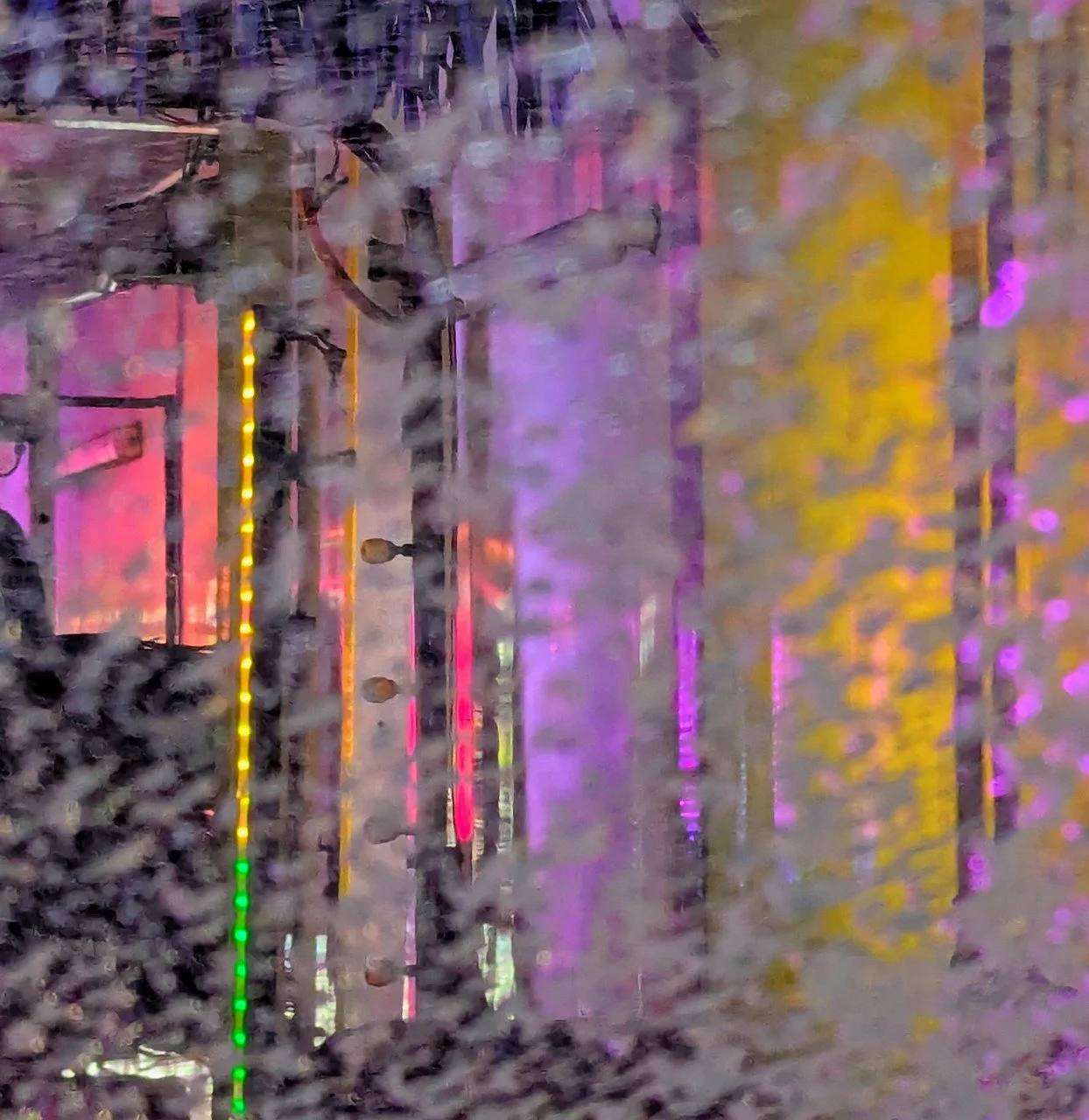 werder saturnine.jpg