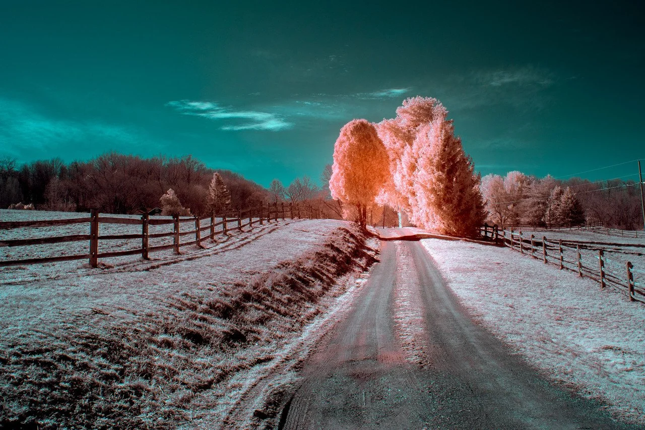 chandler the shining.jpg