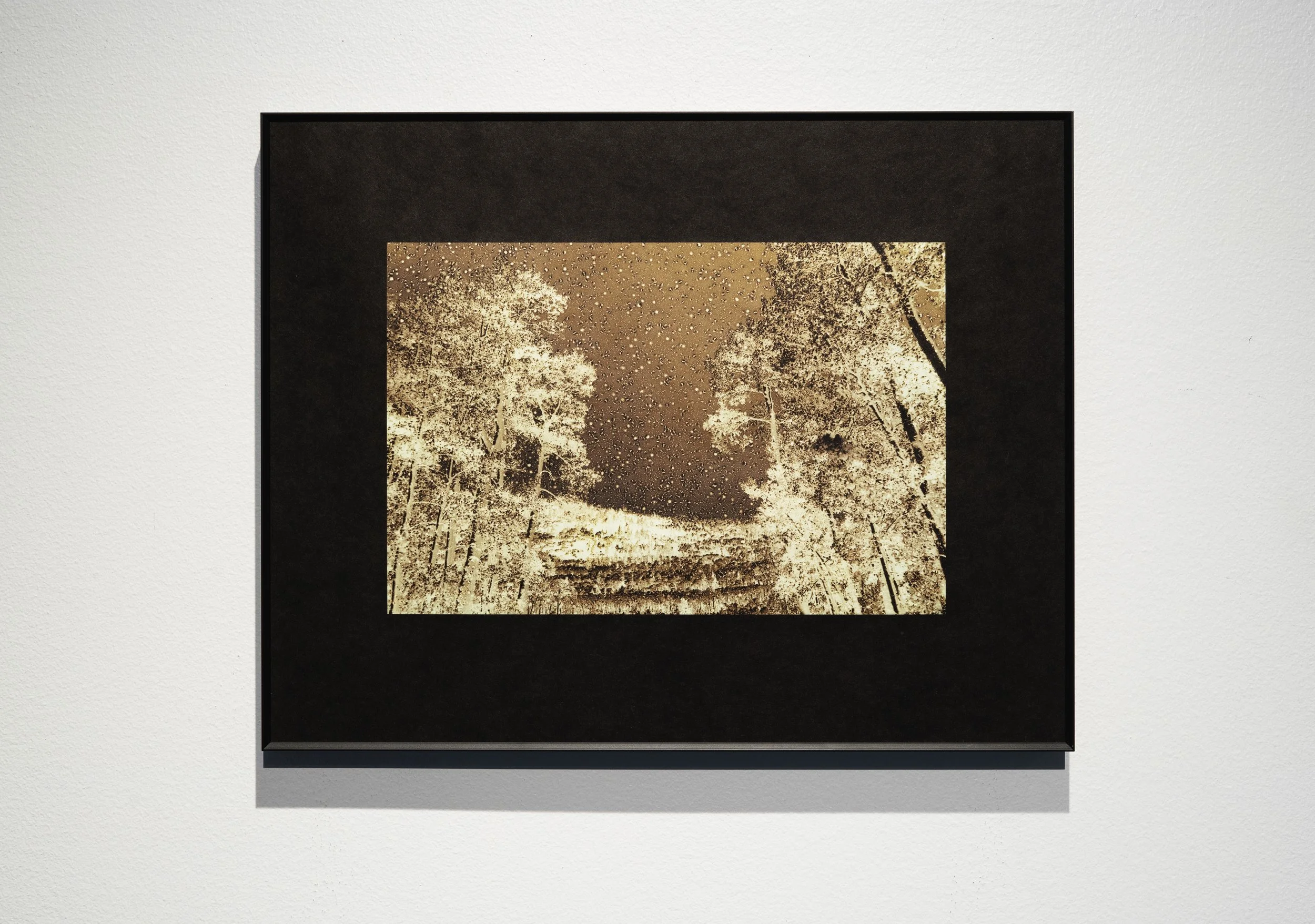 As One They Quake.jpg