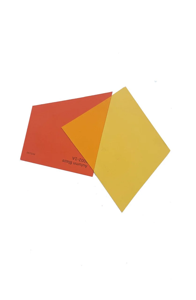 schmidt color study 8 aug.jpg