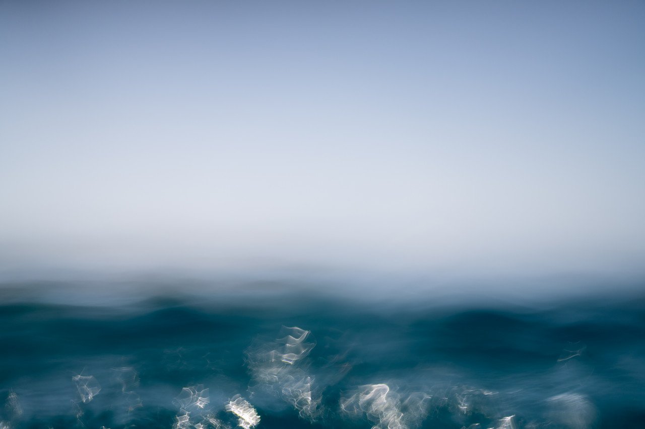 la vacca (3) by John Tronsor