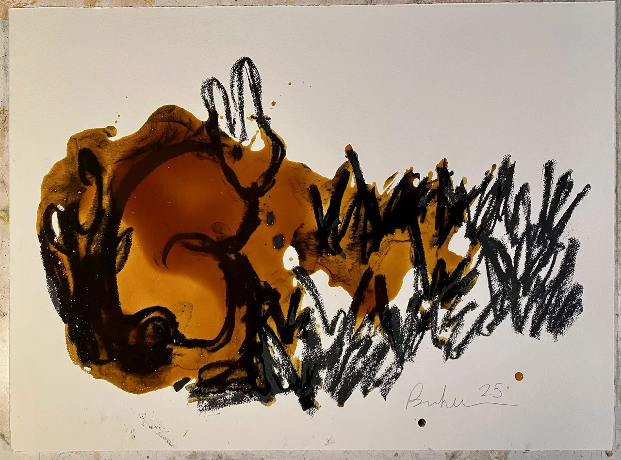 brunken rabbit in the grass.jpg