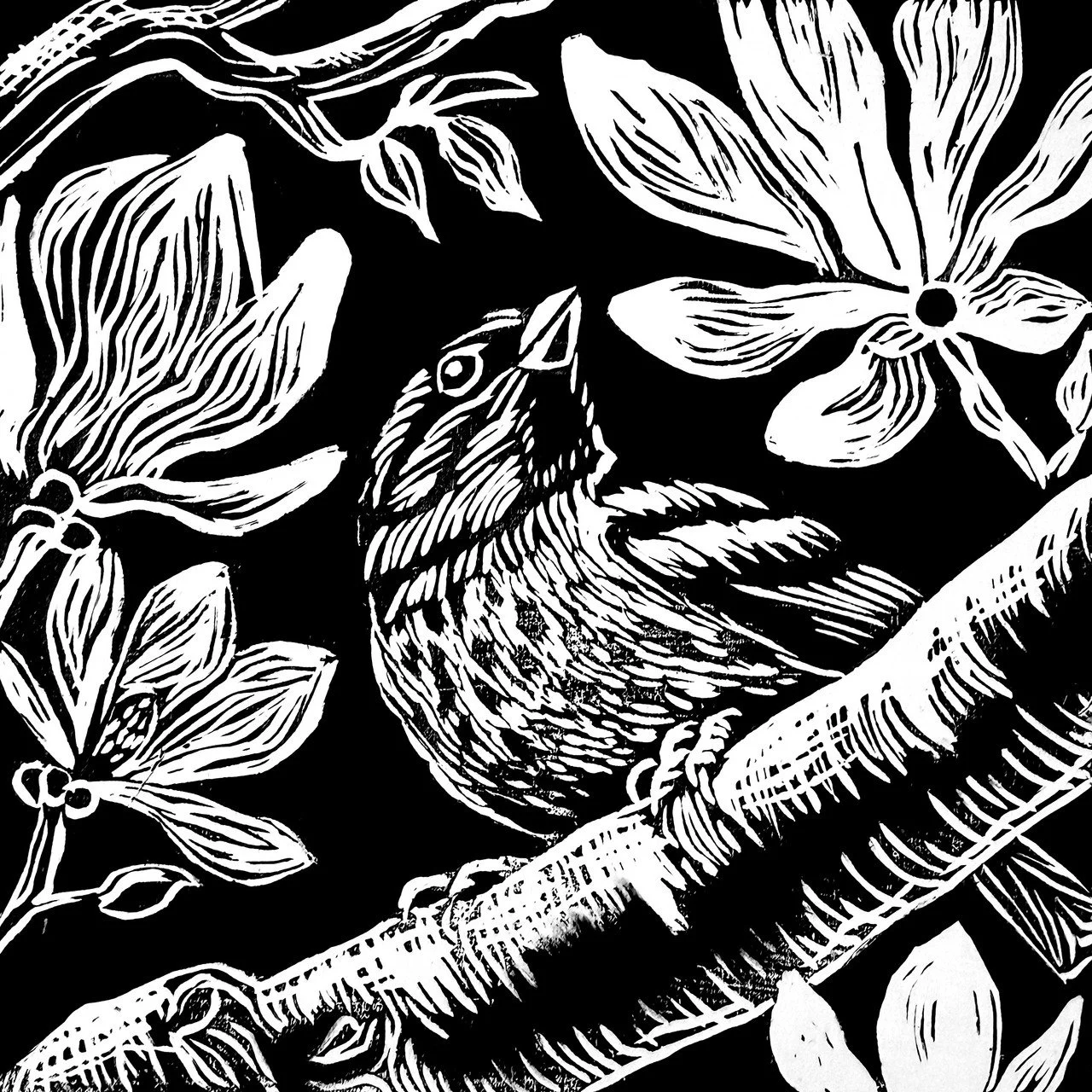 kirby spring sparrow.jpg