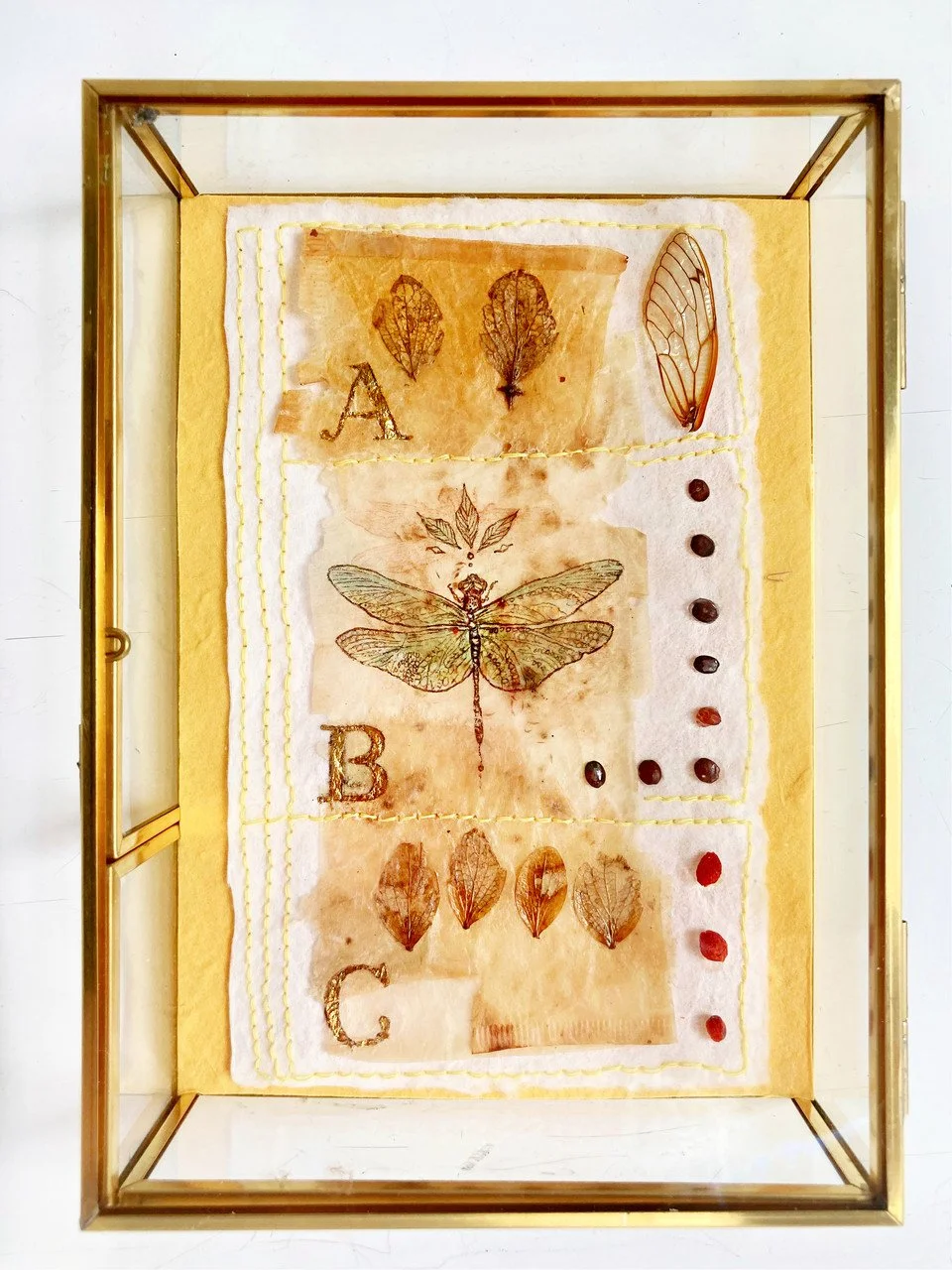 lees maiberg dragonfly and cicada wing.jpg