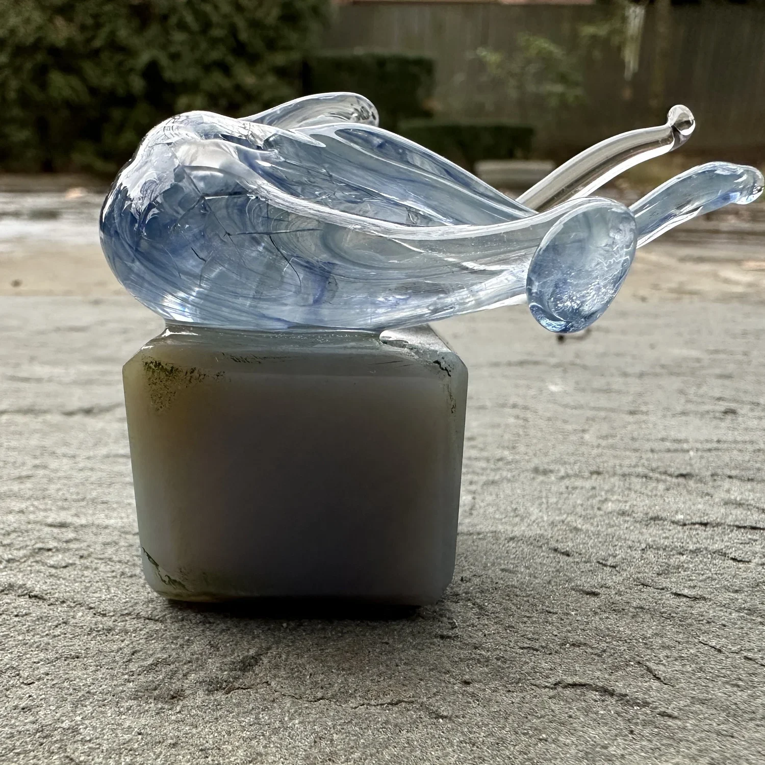 Dive Time, Fresh Light 8 by Margot Dermody