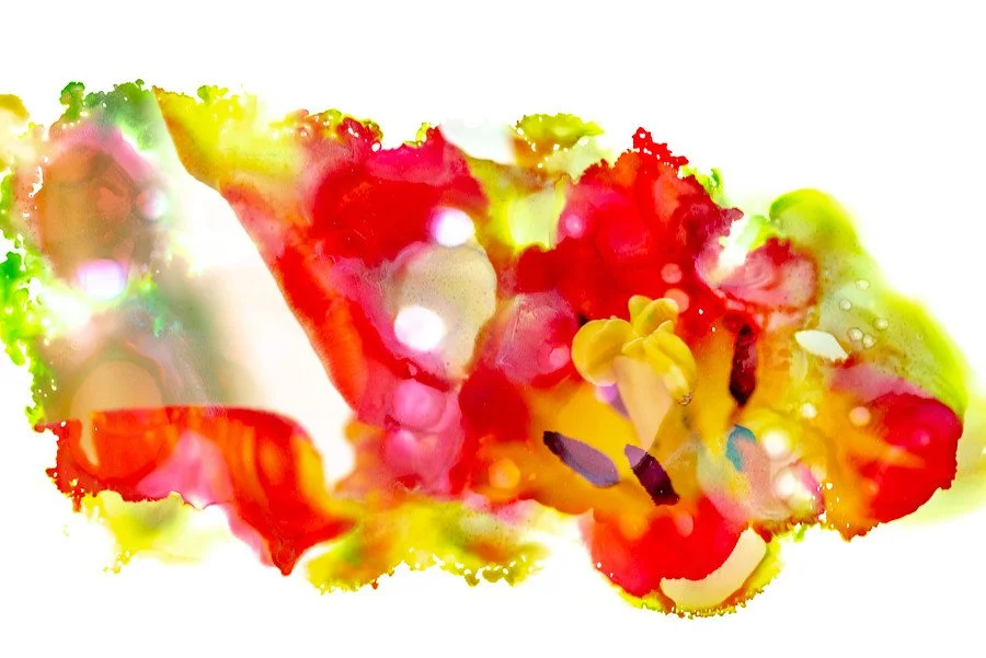 Healing #2 by Erica Tamburo