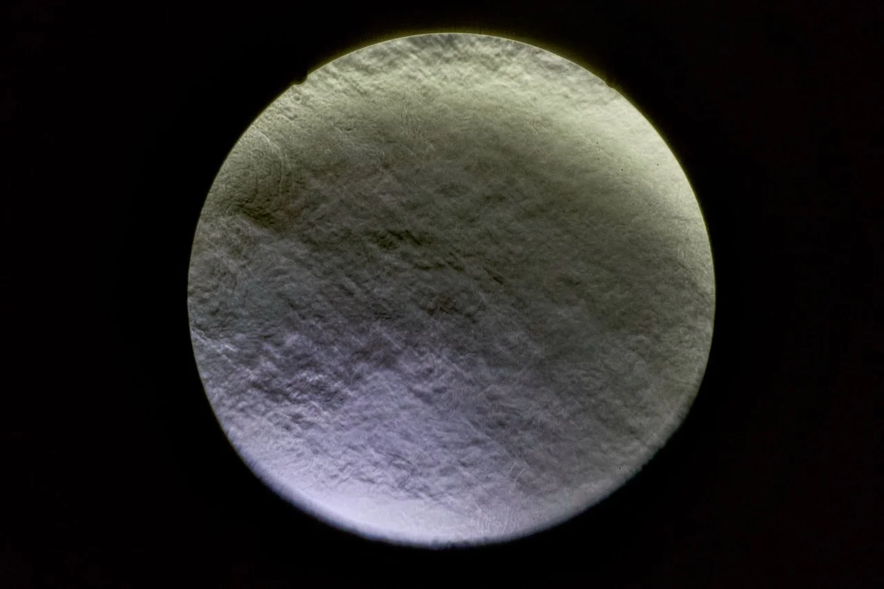 tronsor shclieren test 8.jpg