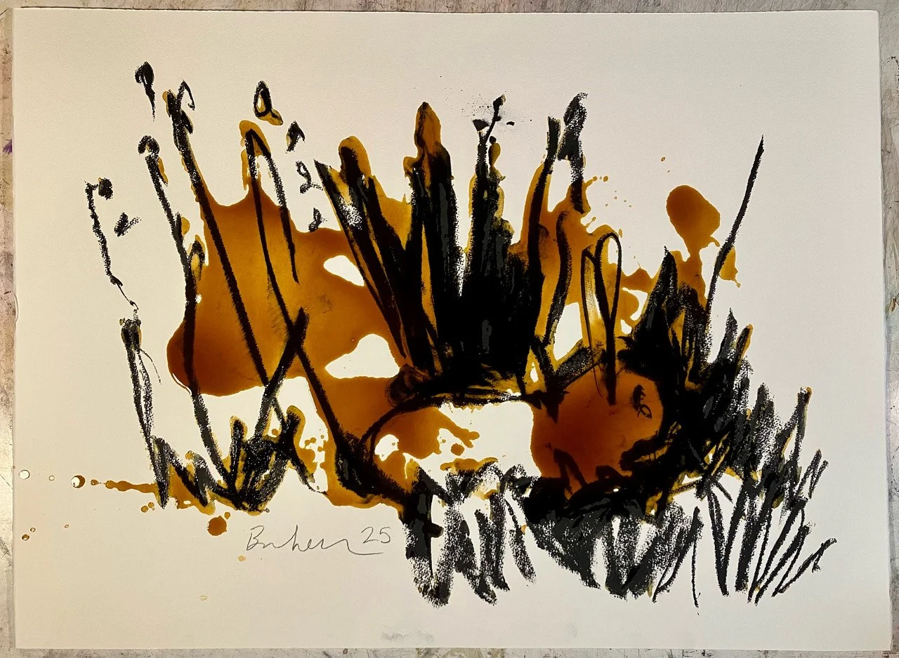 brunken rabbit in the frass 3.jpg