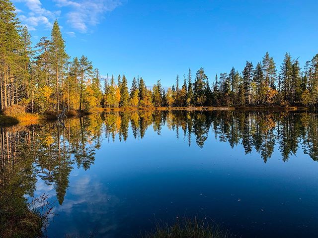 The Sapmi have been herding and hunting reindeer above the Arctic circle for 6 thousand years.  While their lives have changed dramatically, they way they treat nature has not.