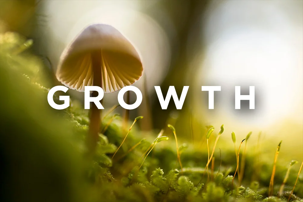 Growth.jpg