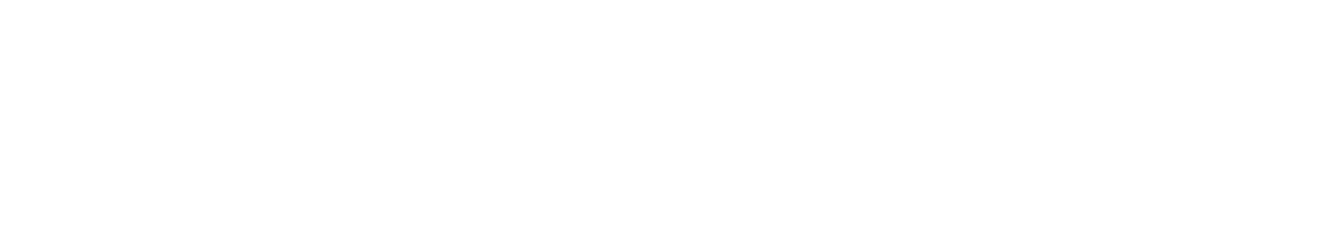 The Bonhoeffer Project