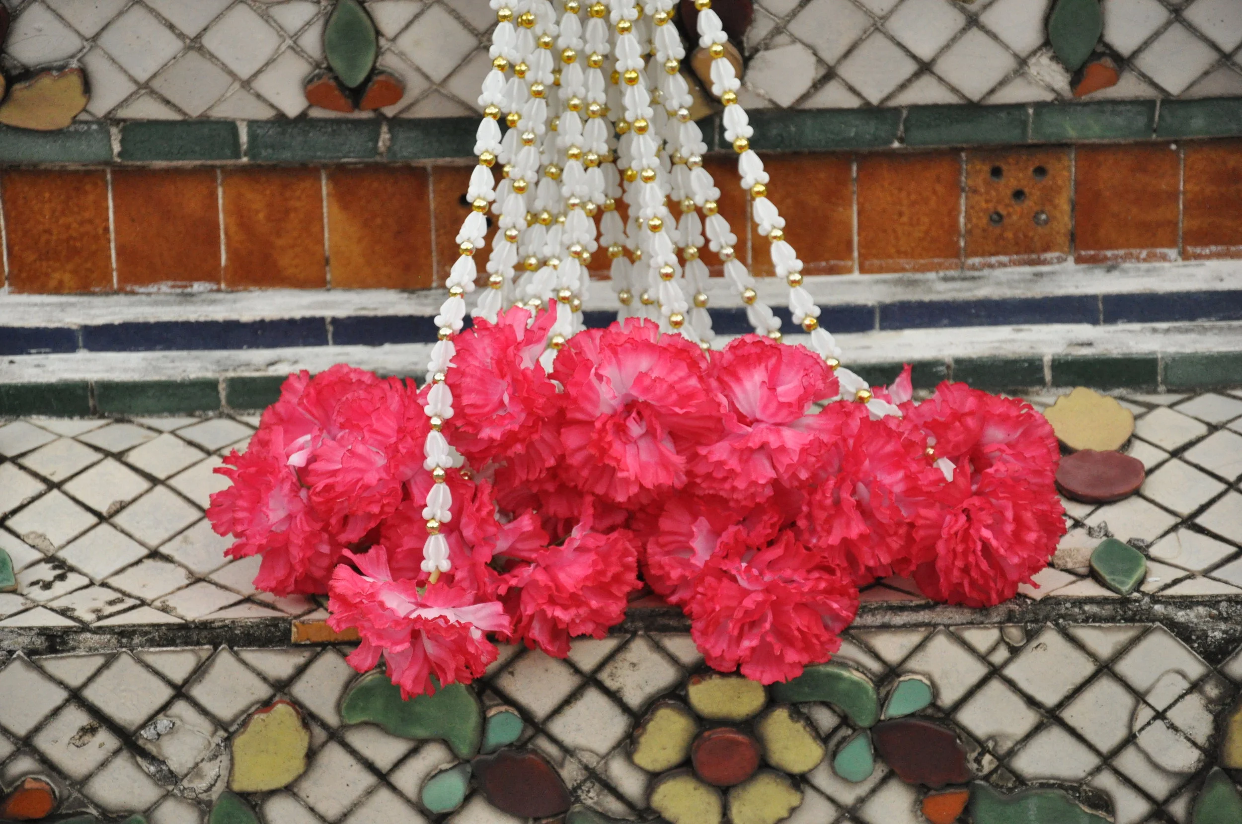 Magenta Carnations Bangkok.JPG