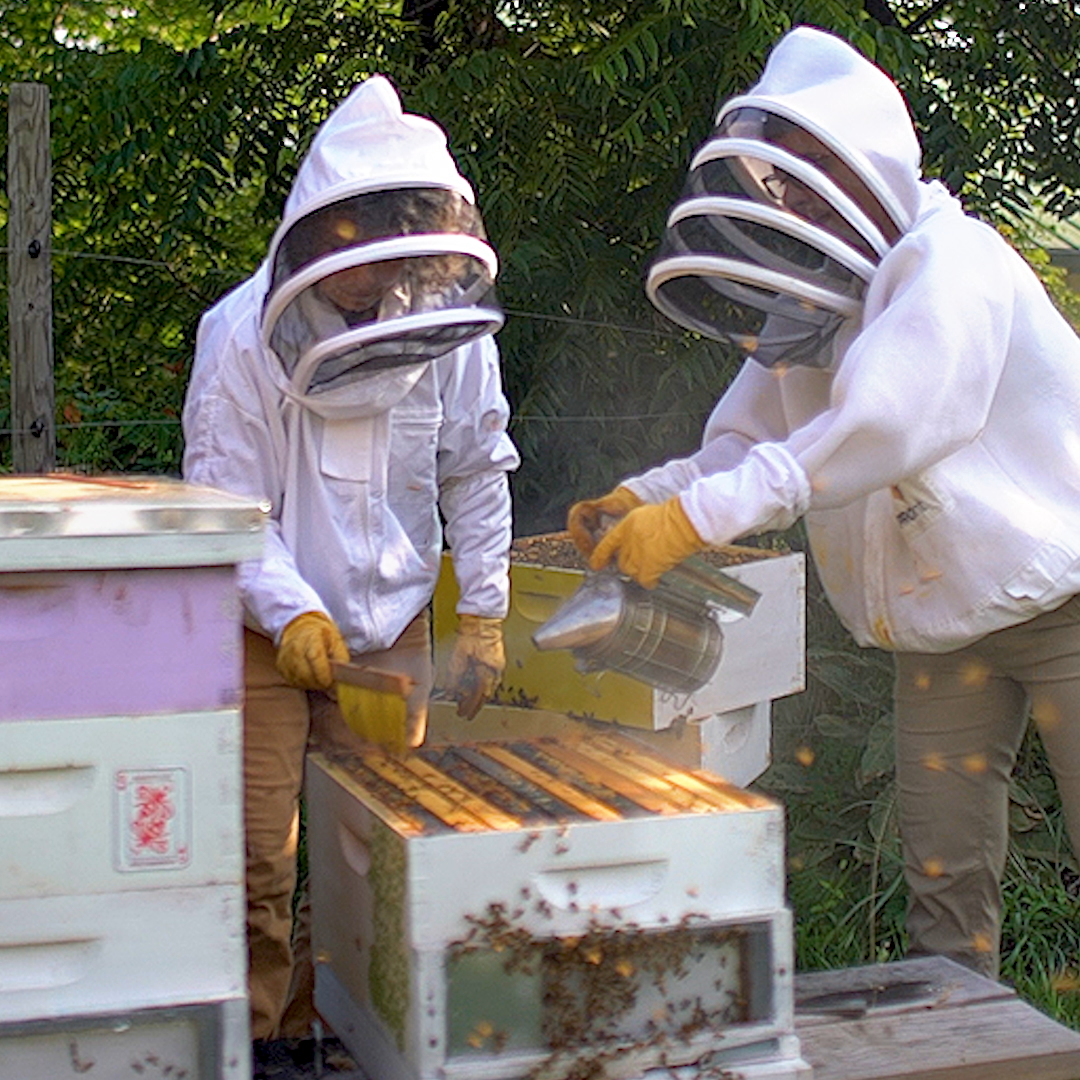 Asheville Bee Charmer | HGTV Creative Genius