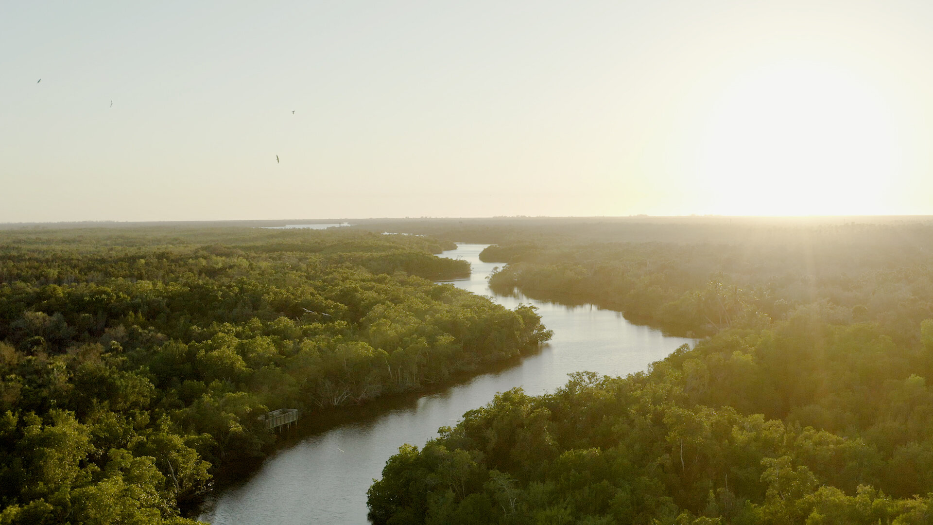 Explore the Everglades | HGTV Smart Home 2021