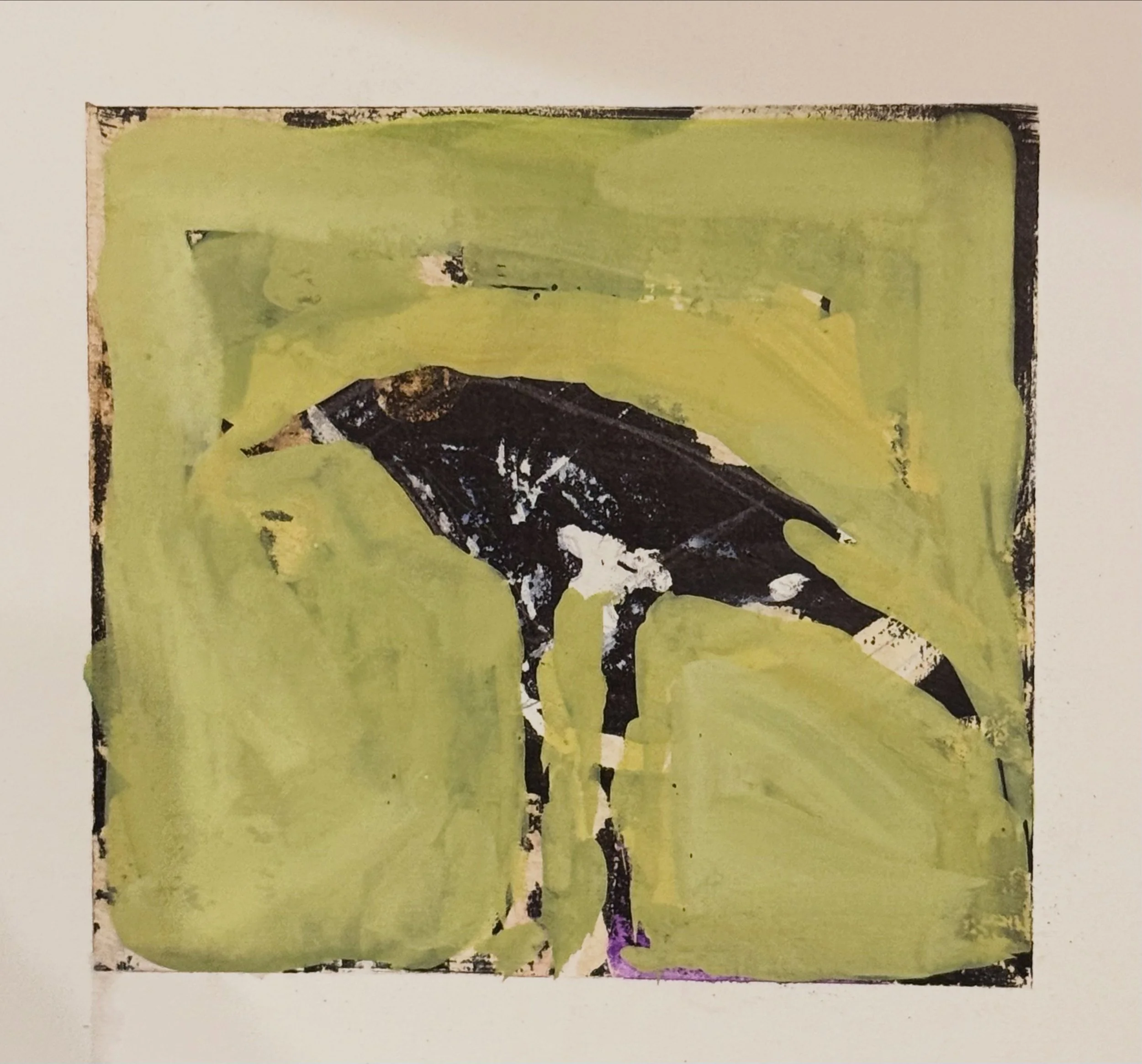 FOR THE BIRDS GOUACHE INK 2026