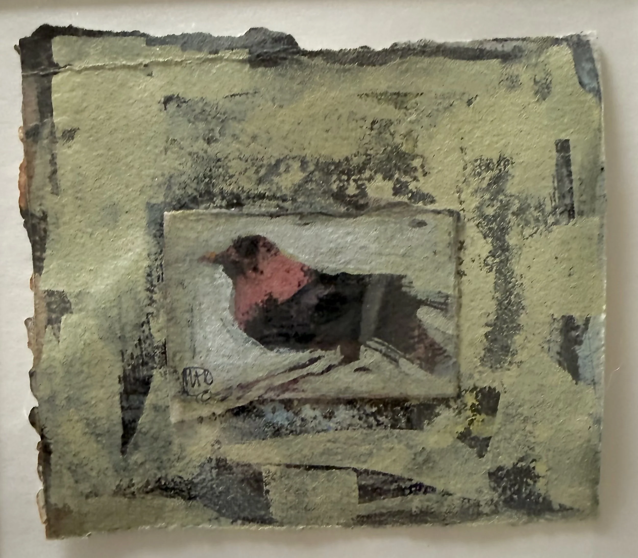 FOR THE BIRDS GOUACHE INK 2026