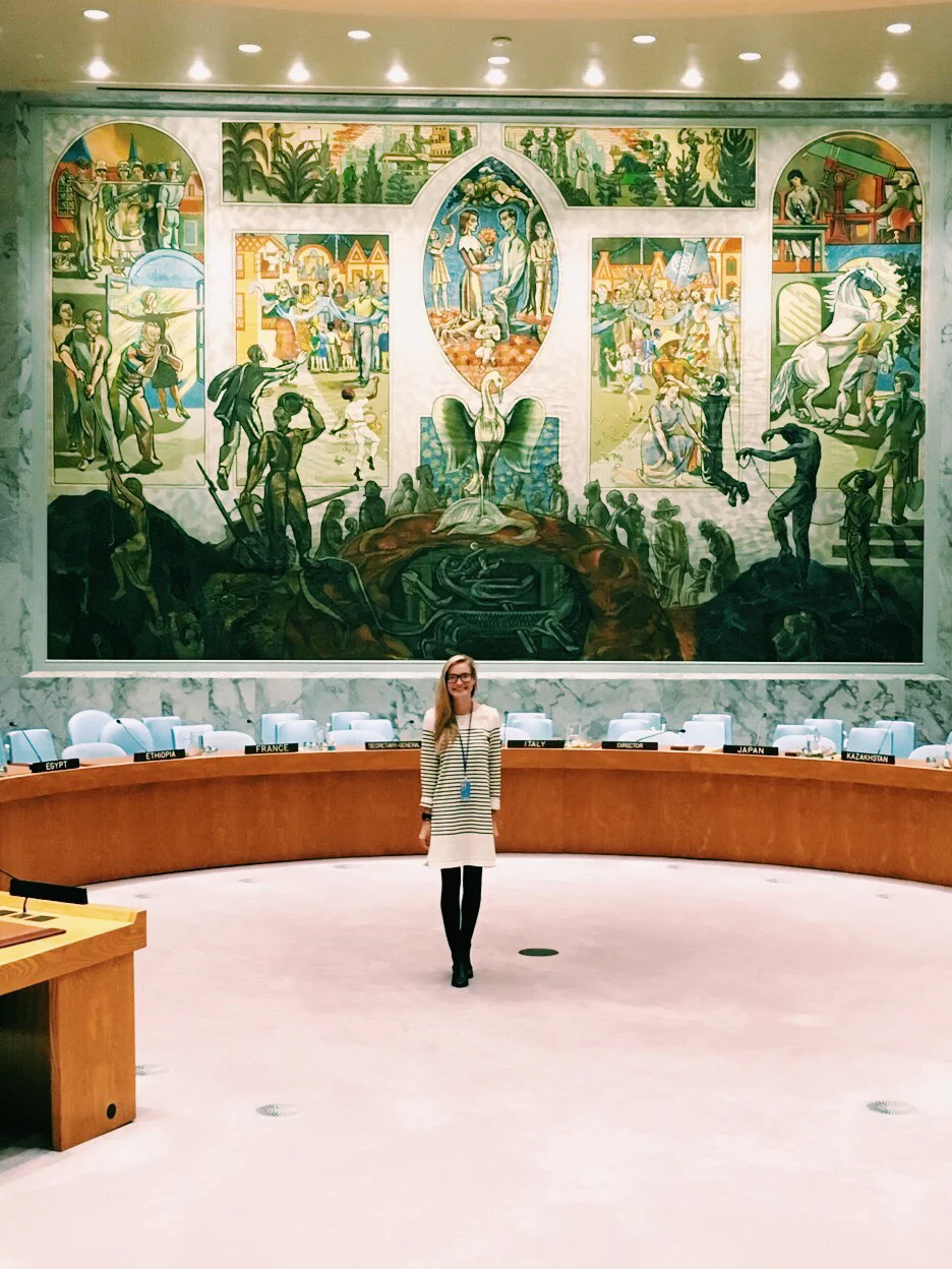 ^ Paige in the Security Council in the fall of 2017.