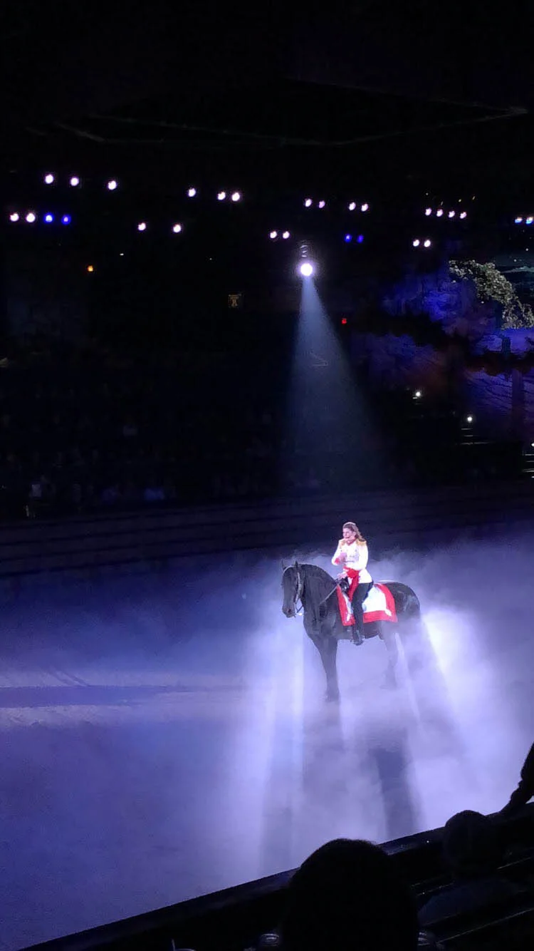 During her opening monologue as MC of the show, Taylor rides under the spotlight on her horse, “Nico.”