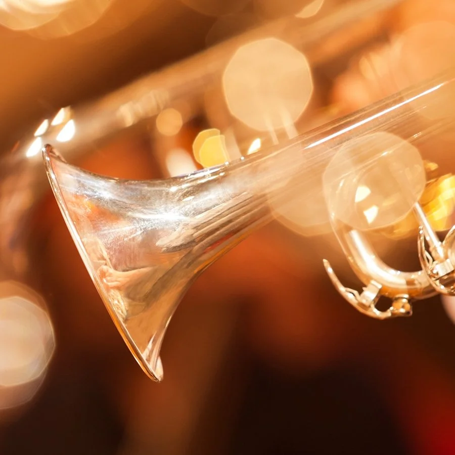 Redwater High School Students Selected to TMEA All-Region Jazz Band