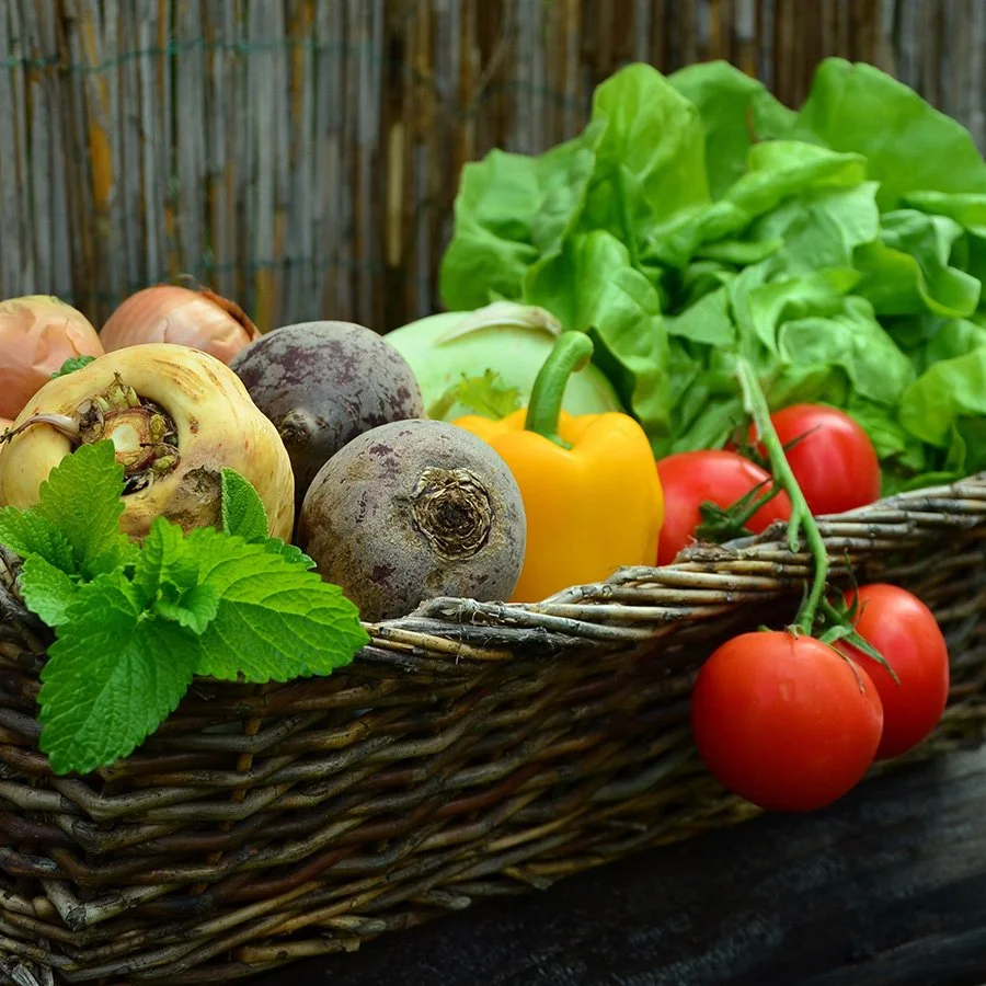 A&M-Texarkana to Host Master Gardener Seminar Series