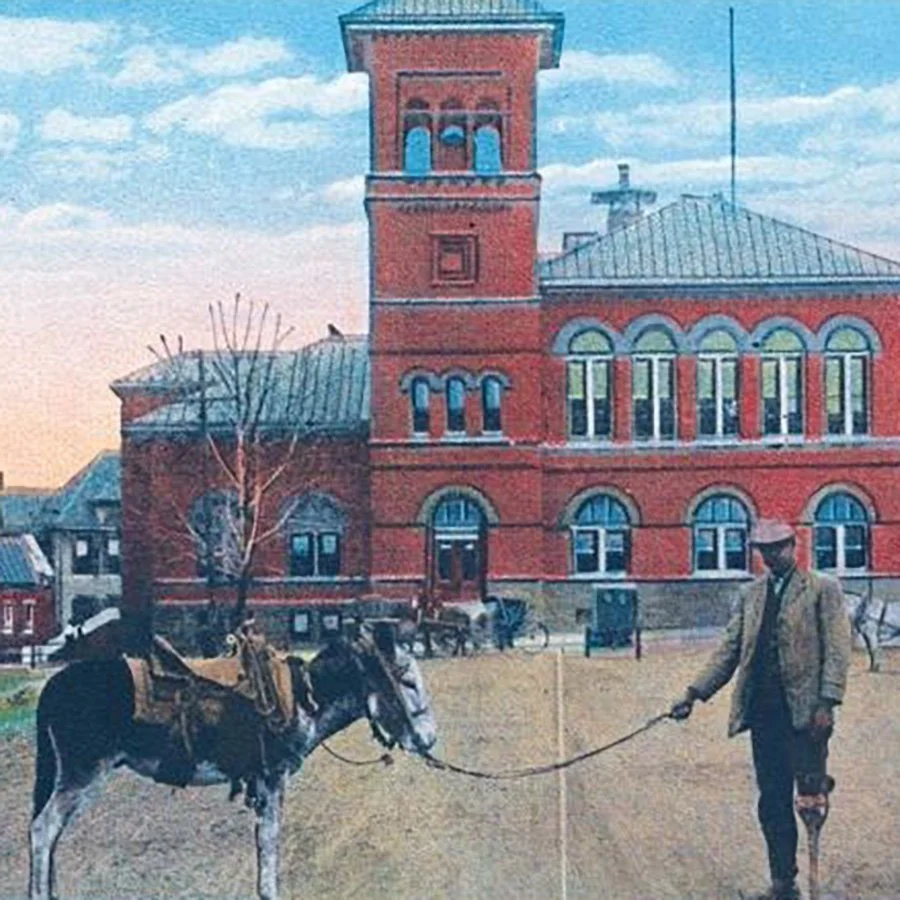 Postcards from the Past