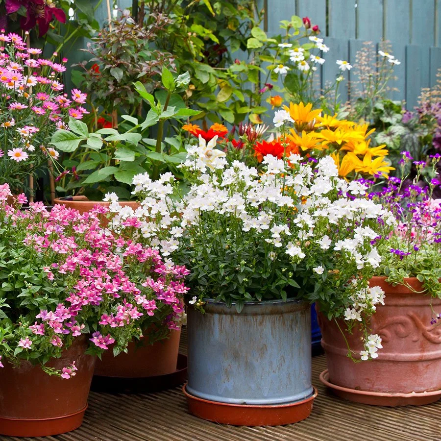 A&M-Texarkana to Host Bowie County Master Gardener Event