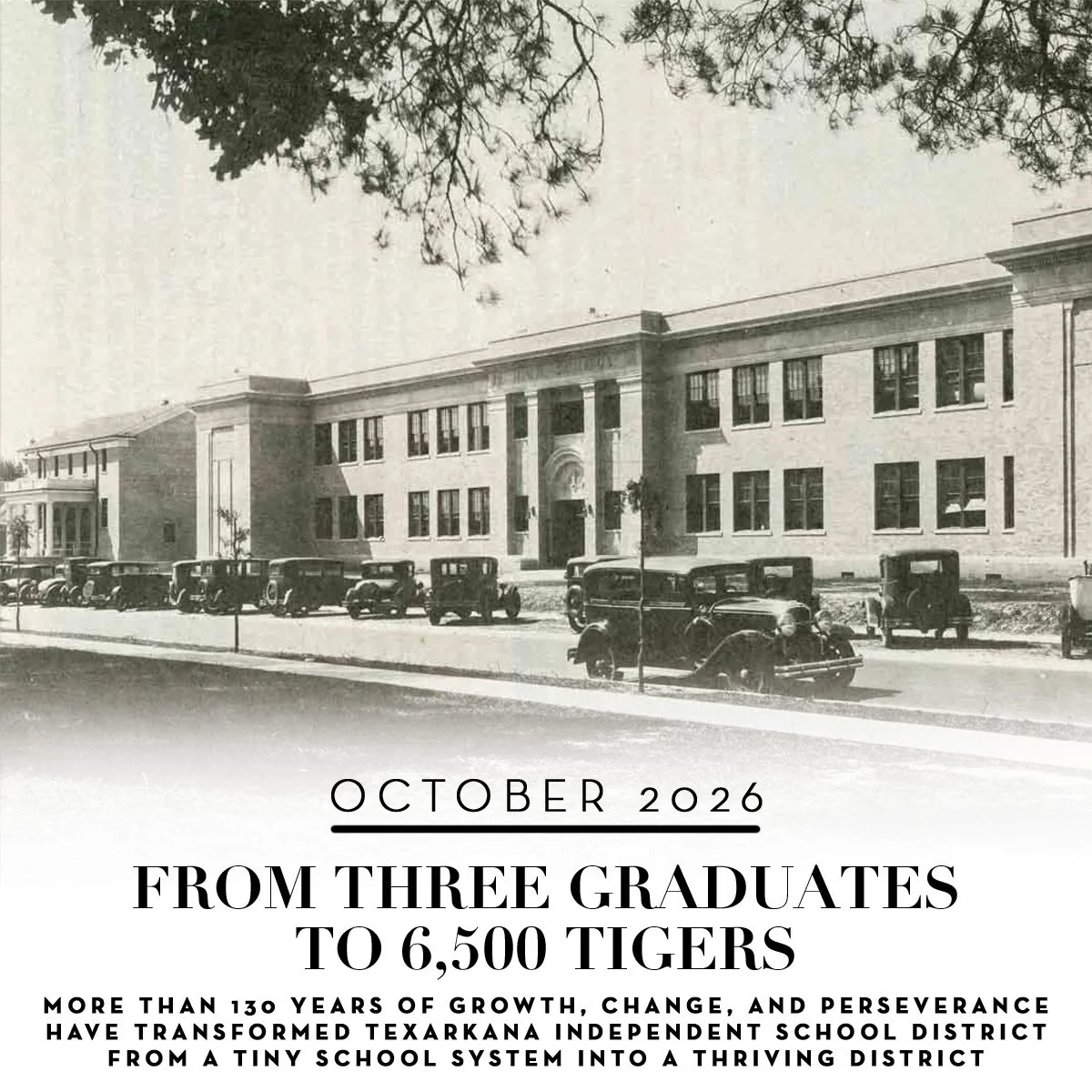 05-slider-TISD.jpg