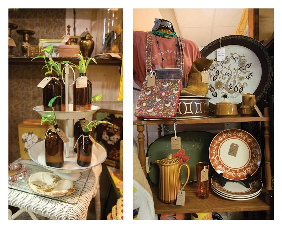 Curated living room filled with collected vintage thrifted pieces