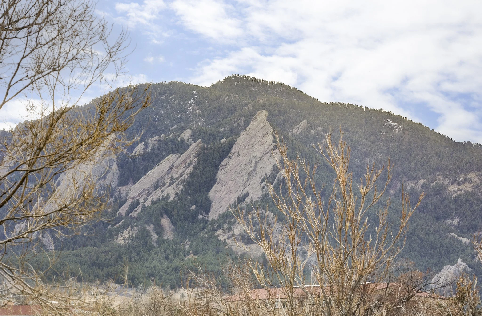 RaeScott_K_1430 18th St Unit #13_web-10.jpg