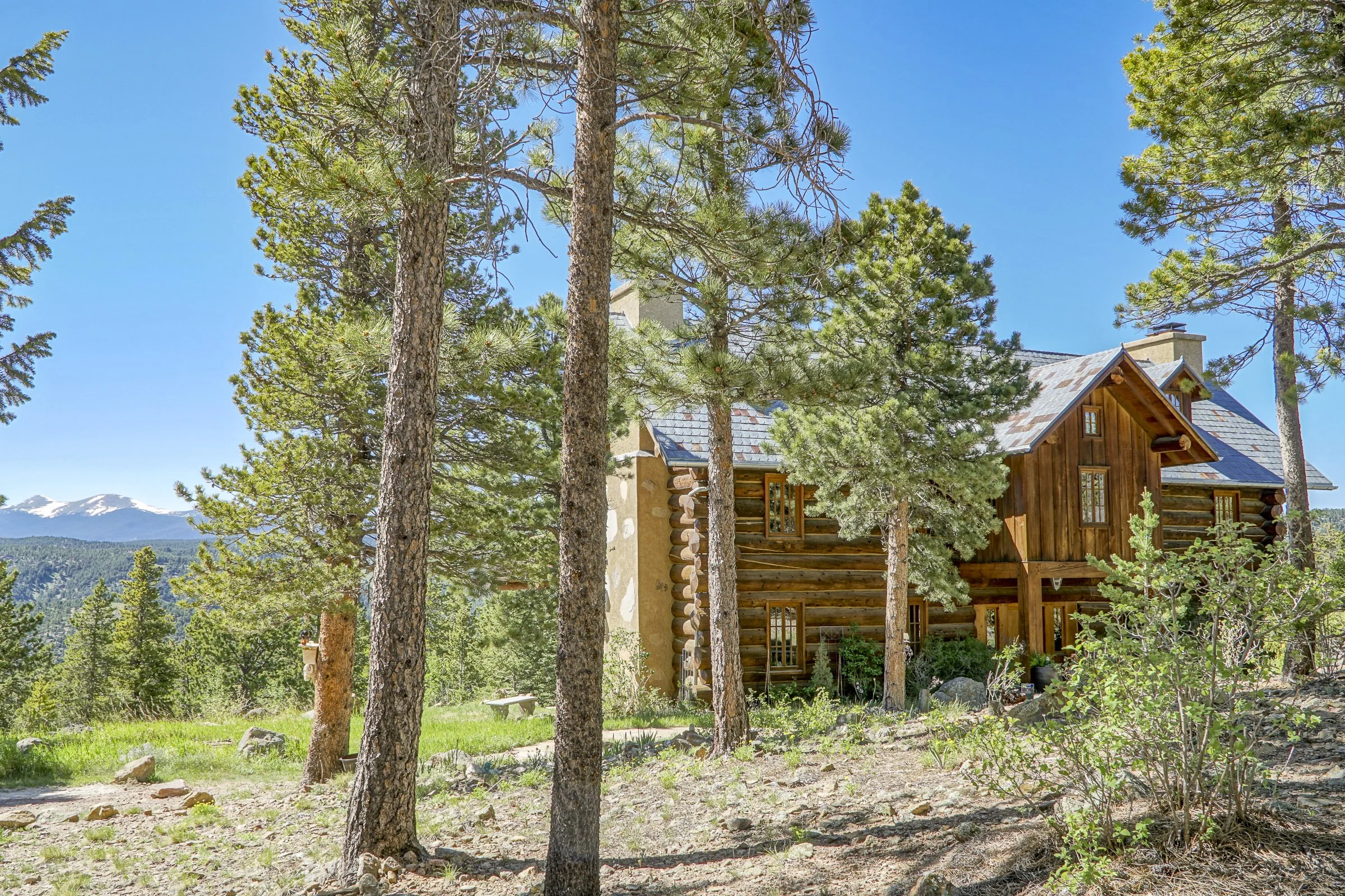 1050 Pine Top 25-1 copy.jpg