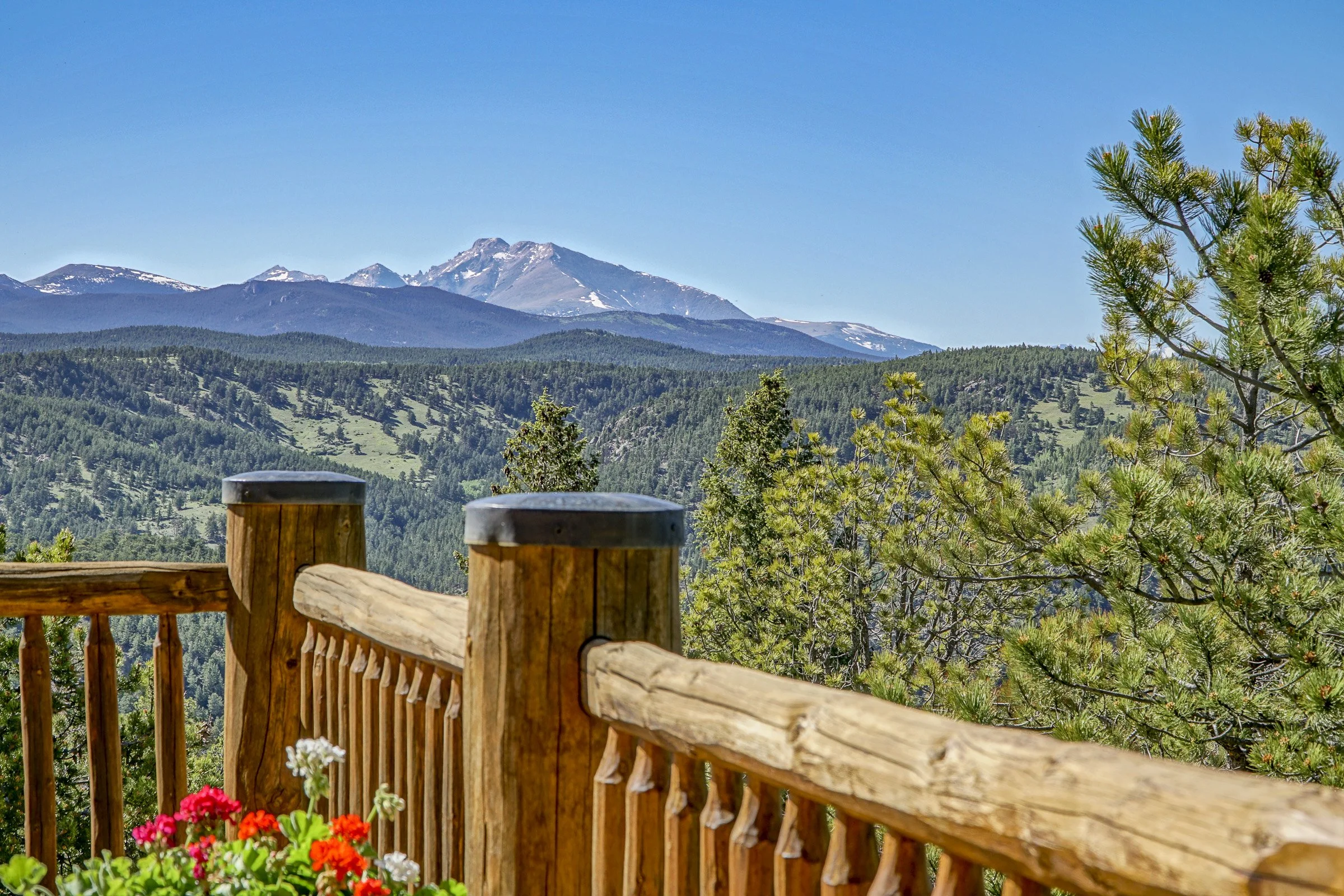 1050 Pine Top 25-6 copy.jpg