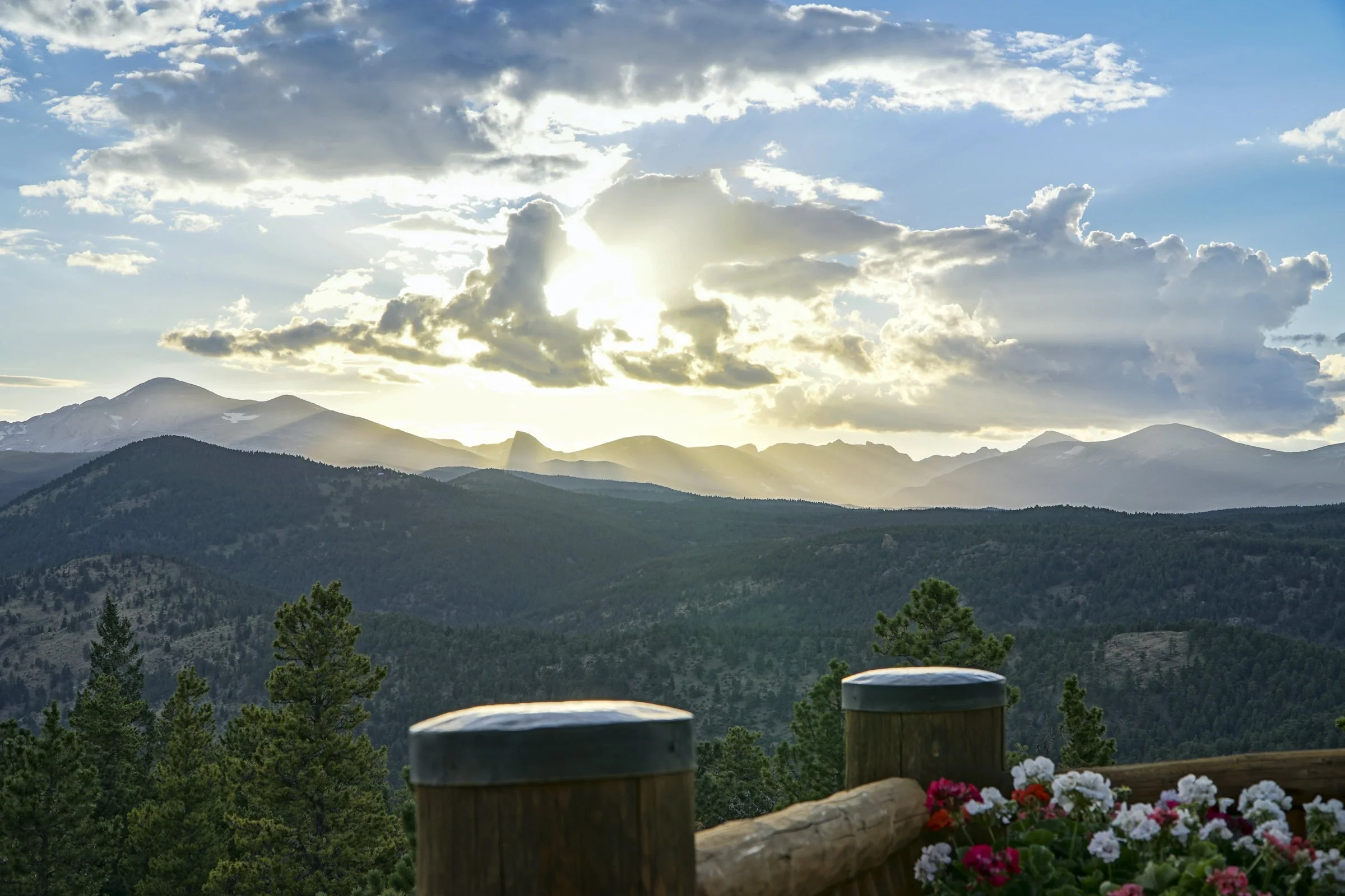 1050 Pine Top 25-26 copy.jpg