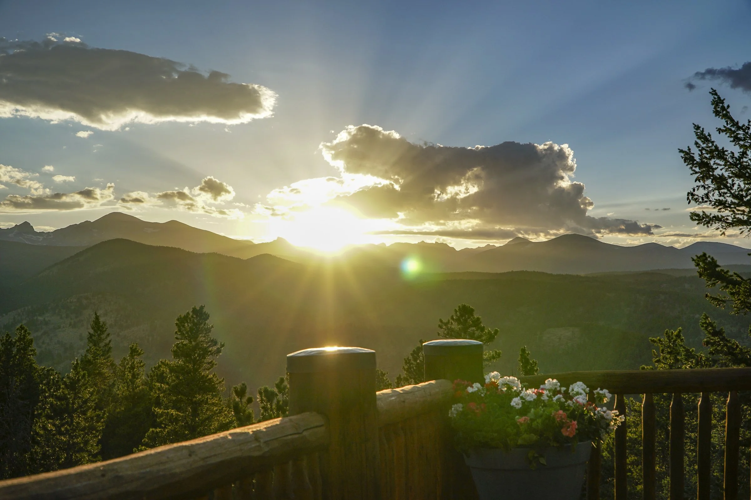 1050 Pine Top 25-27 copy.jpg