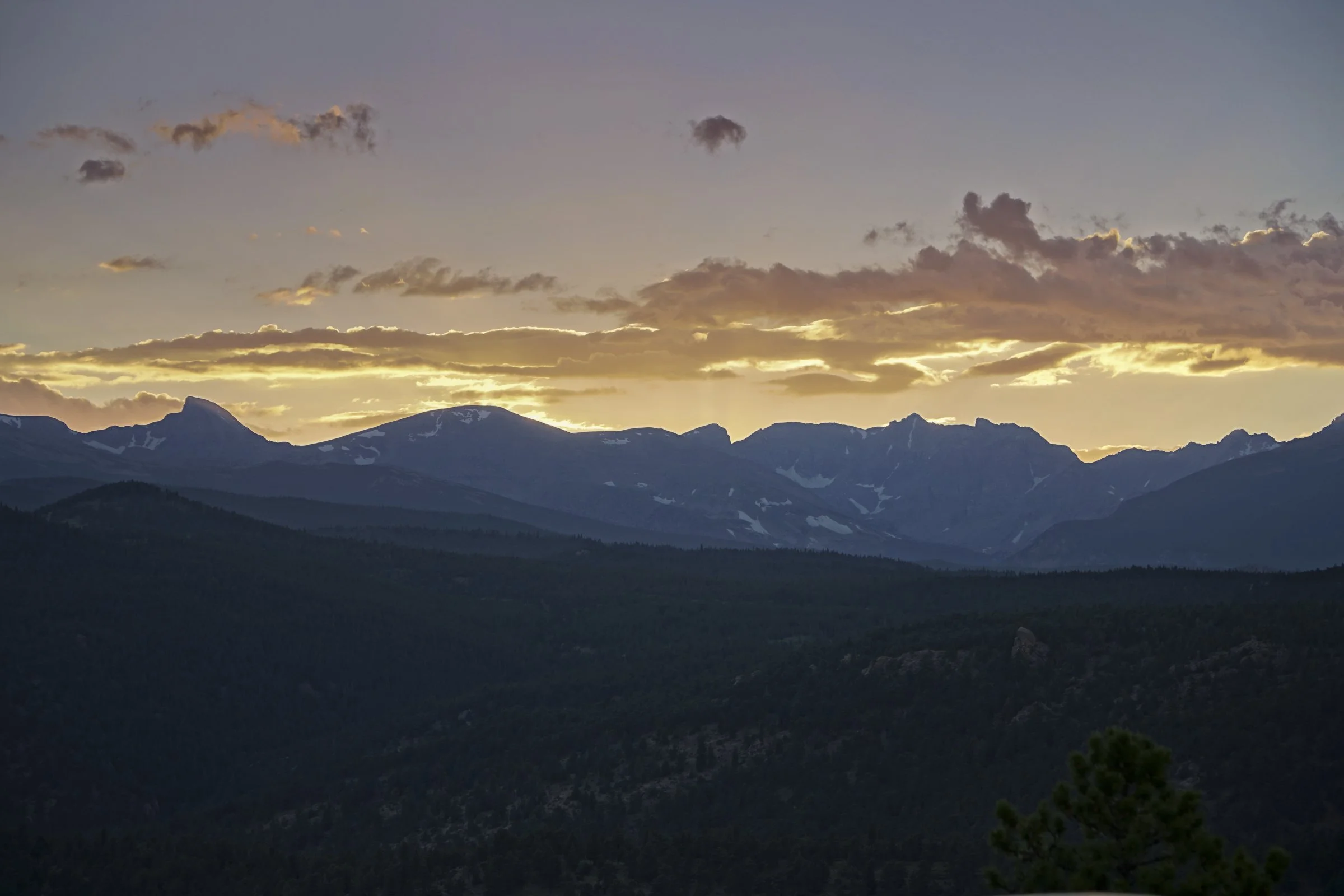 1050 Pine Top 25-28 copy.jpg