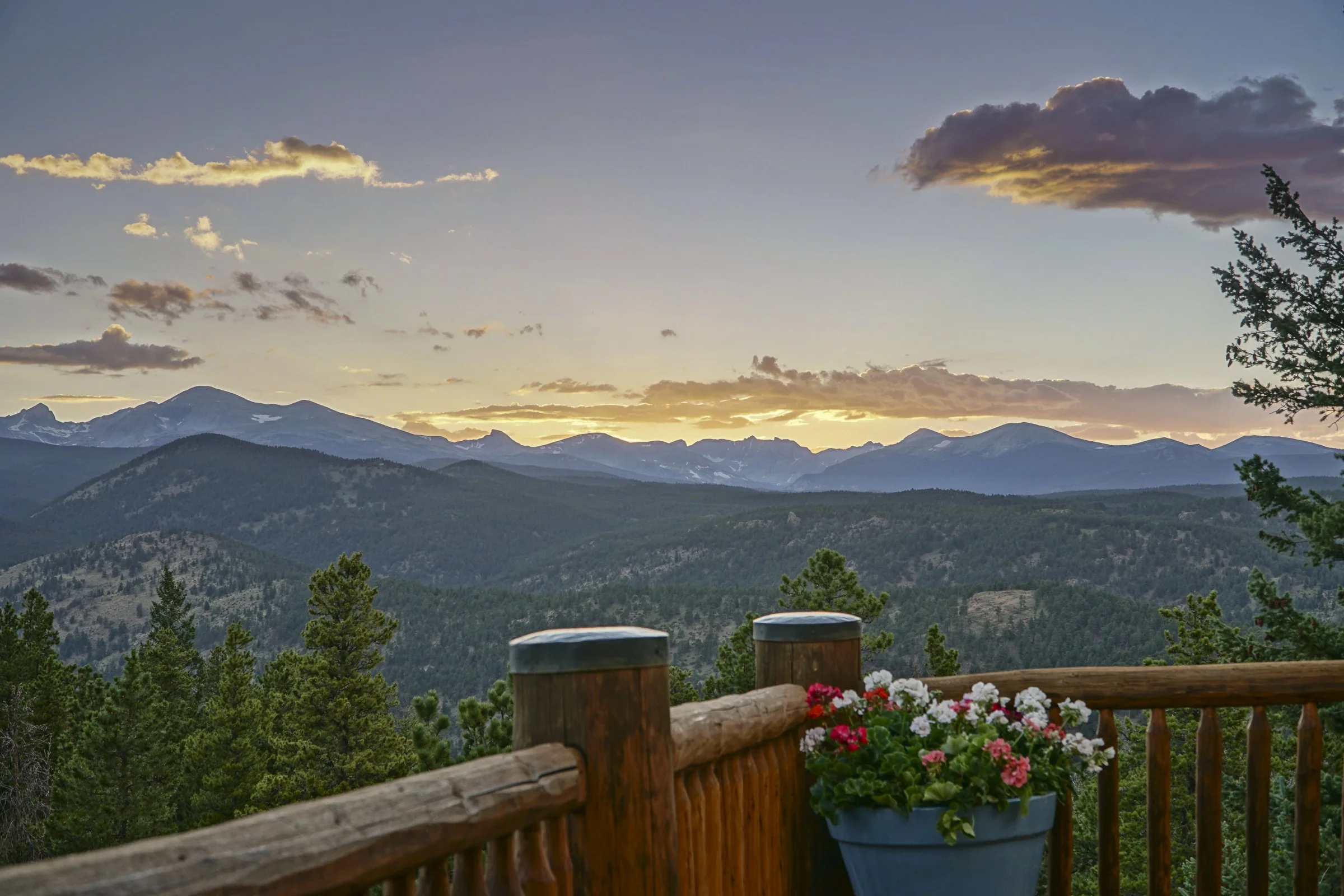 1050 Pine Top 25-29 copy.jpg
