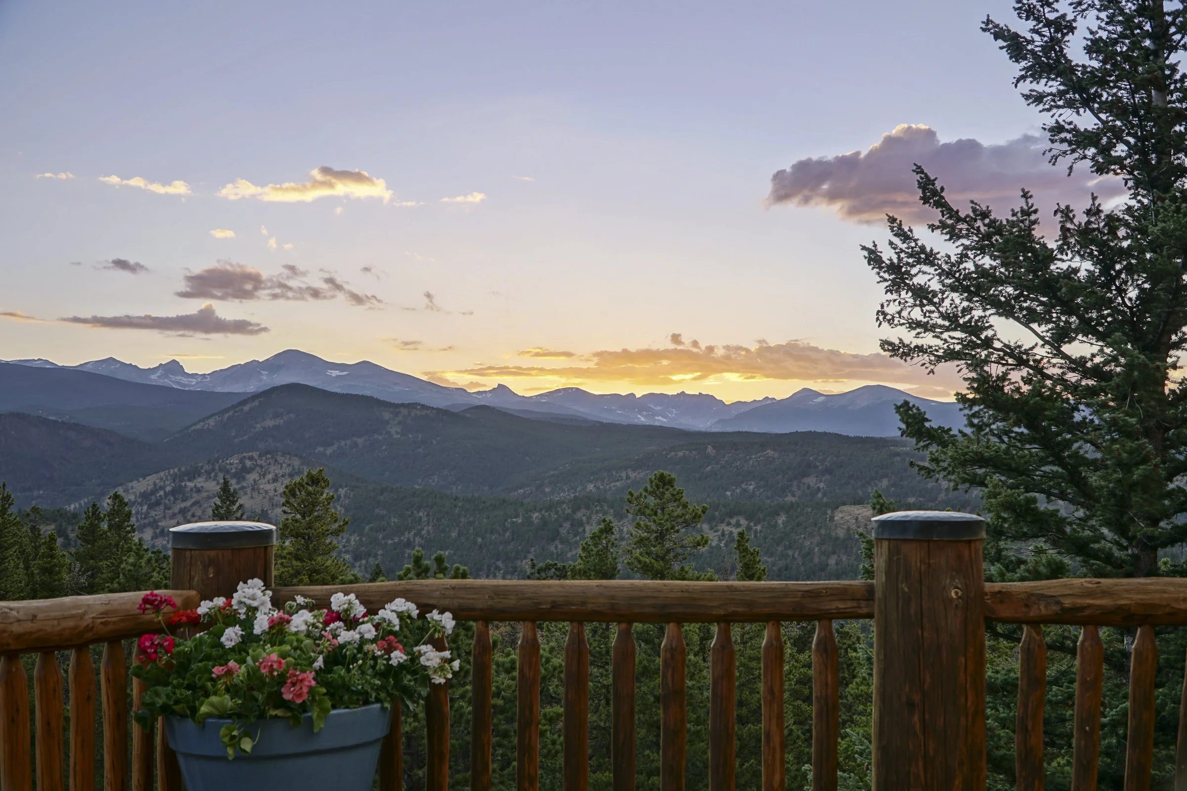 1050 Pine Top 25-30 copy.jpg