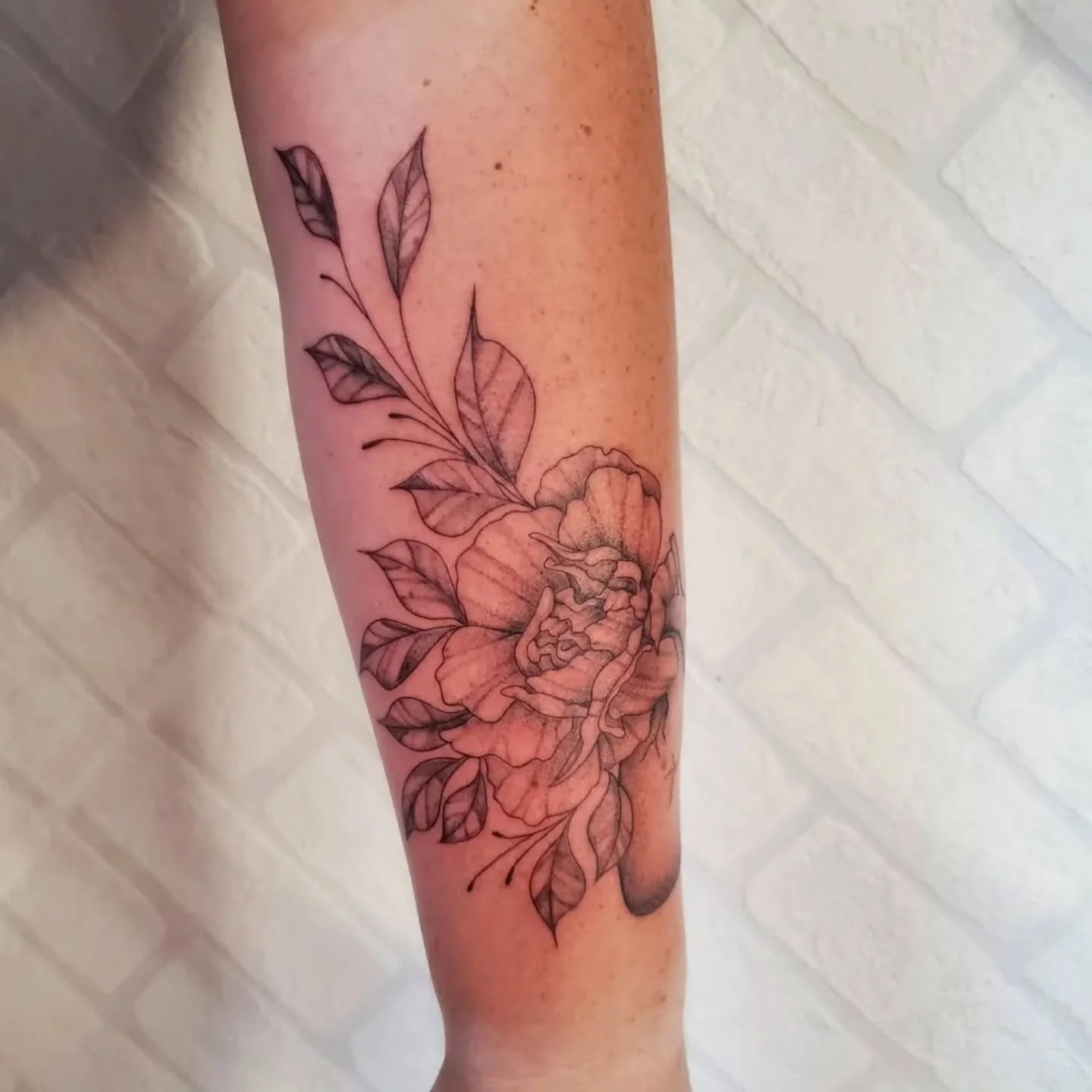 Lacey has availability for December. ✨️❄️
Now is the perfect time to heal a tattoo, FYI! :)

Check out her work, including flash and healed pieces! ➡️ @lace_inks 

✨️Don't forget, I'll be giving folks a $10 shop gift card when you get tattooed by her
