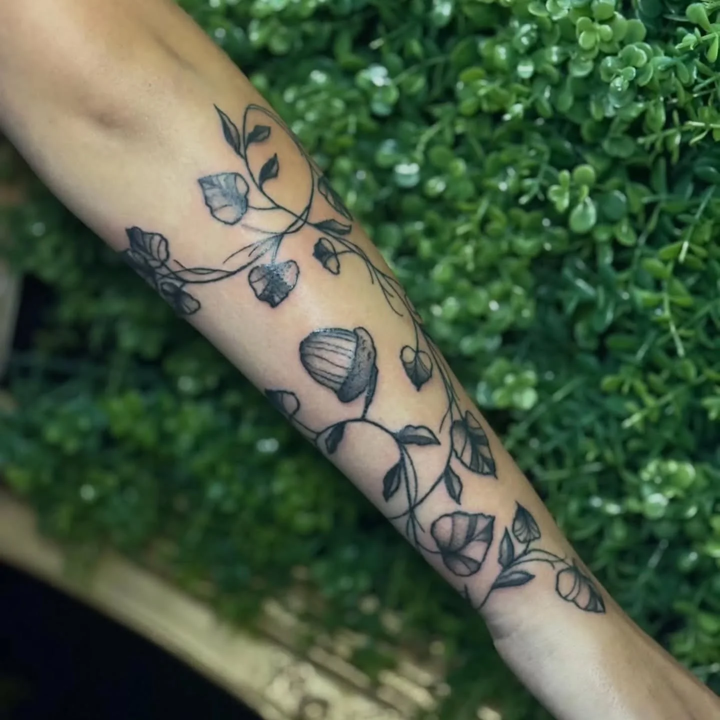 &bull; @piperedenn &bull;  vine wrap with an added acorn for charisma !! 🌿✨ 
did this guy in 2 sessions&mdash; line work in the last photo 
thank you so much !! 

🌿 LONDON, ON &mdash; Raven&rsquo;s Head Tattoo
🌿 DM me to book or fill out the form 