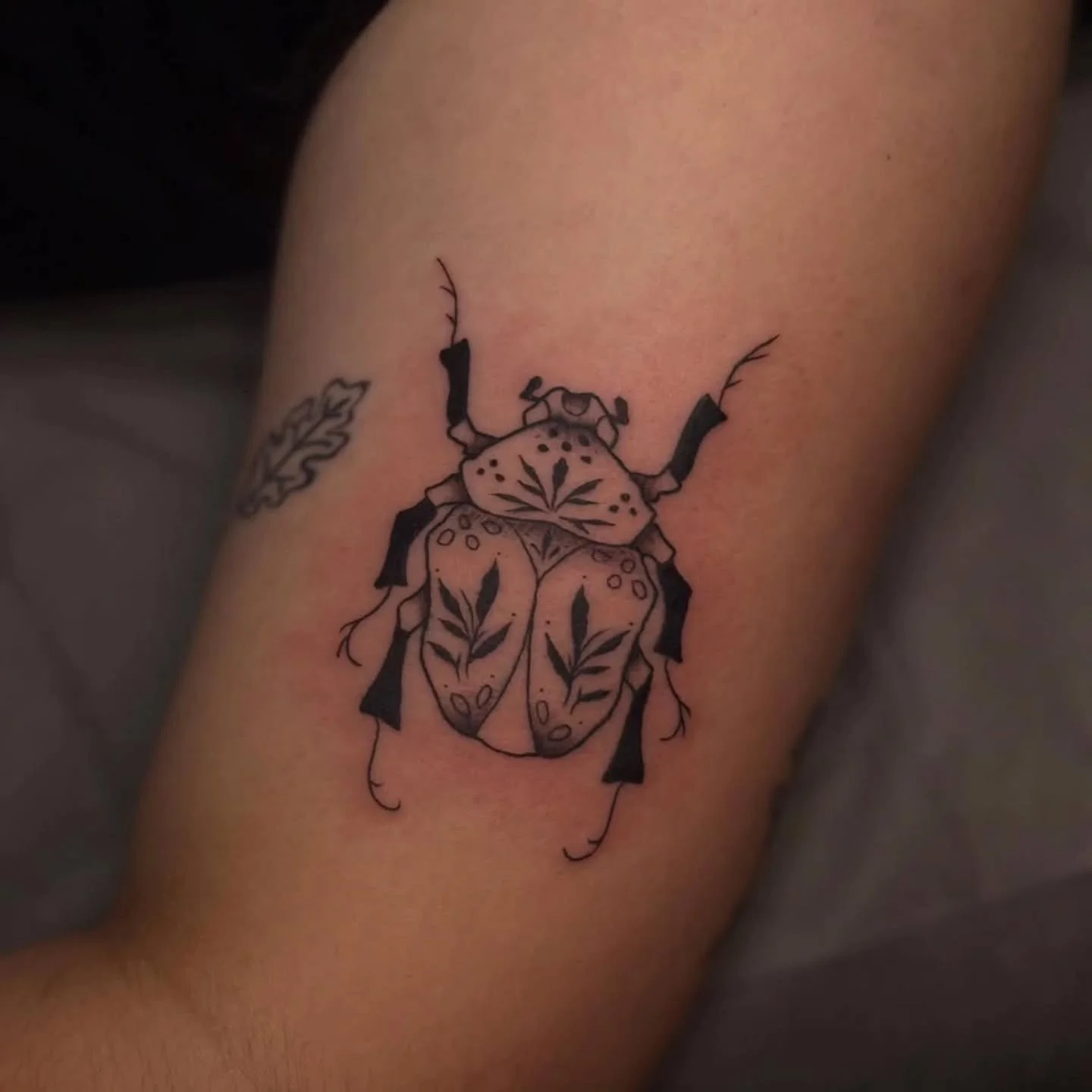 &bull; @piperedenn &bull;  sweet beetle for el 🌿✨ thank you! 
still have 2 beetles left who need home &mdash; way behind on posting tattoos from 2025 I will catch up eventually 🫡
*other tattoo pictured not by me*

🌿 LONDON, ON &mdash; Raven&rsquo;