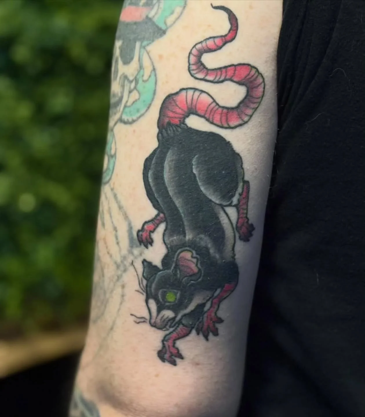 &bull; @piperedenn &bull;  little bit of colour for your feed today ✨ thank you liam for the trust in this piece !! 
would love to take on my colour pieces this year &mdash; black and grey is healed in the first few photos and healed tattoo at the en